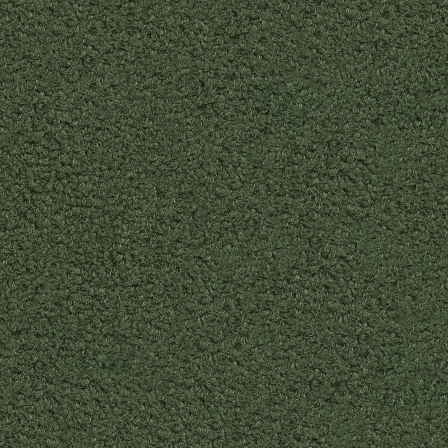 11213 GRASS (TESSA)