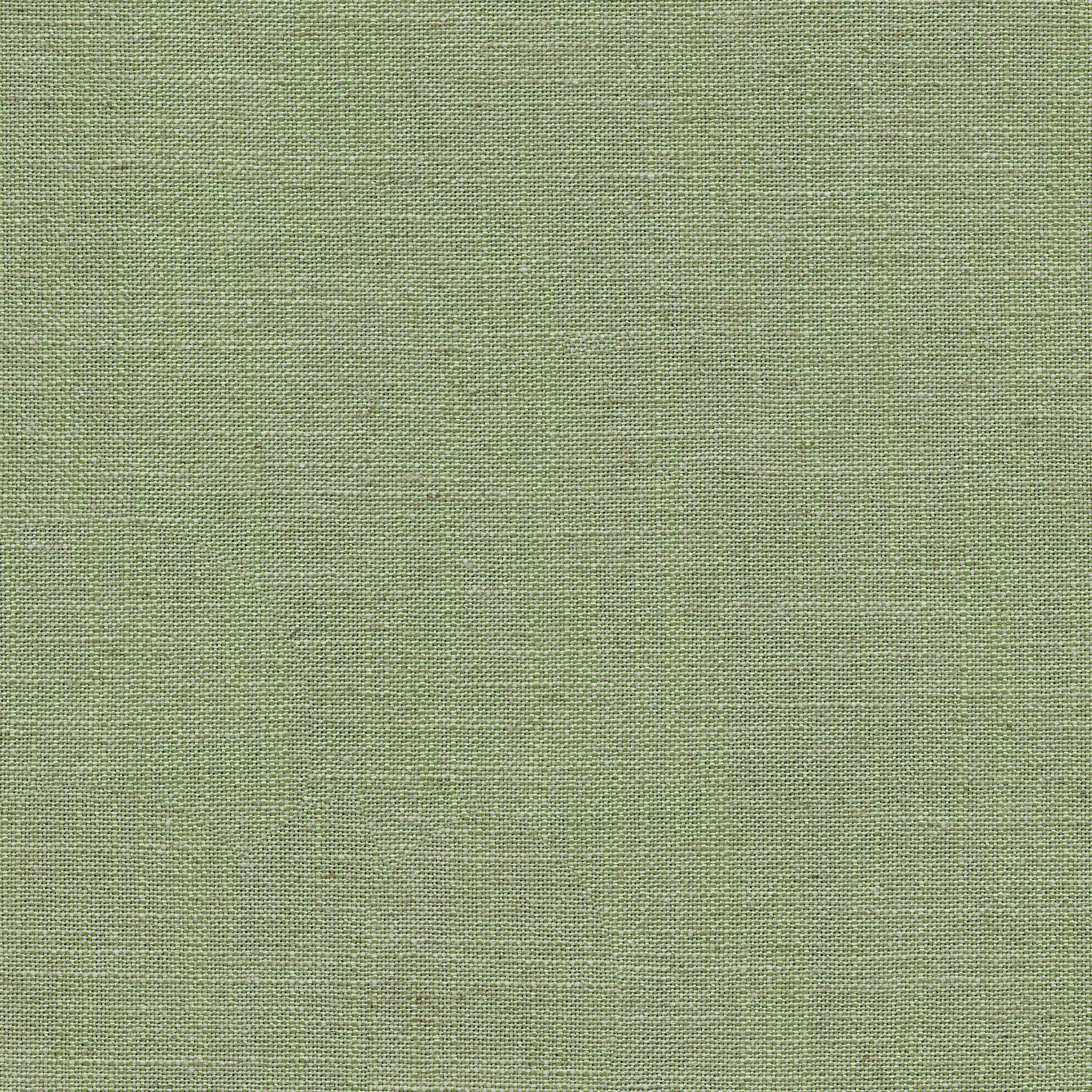11339 ELM (LUMEN)
