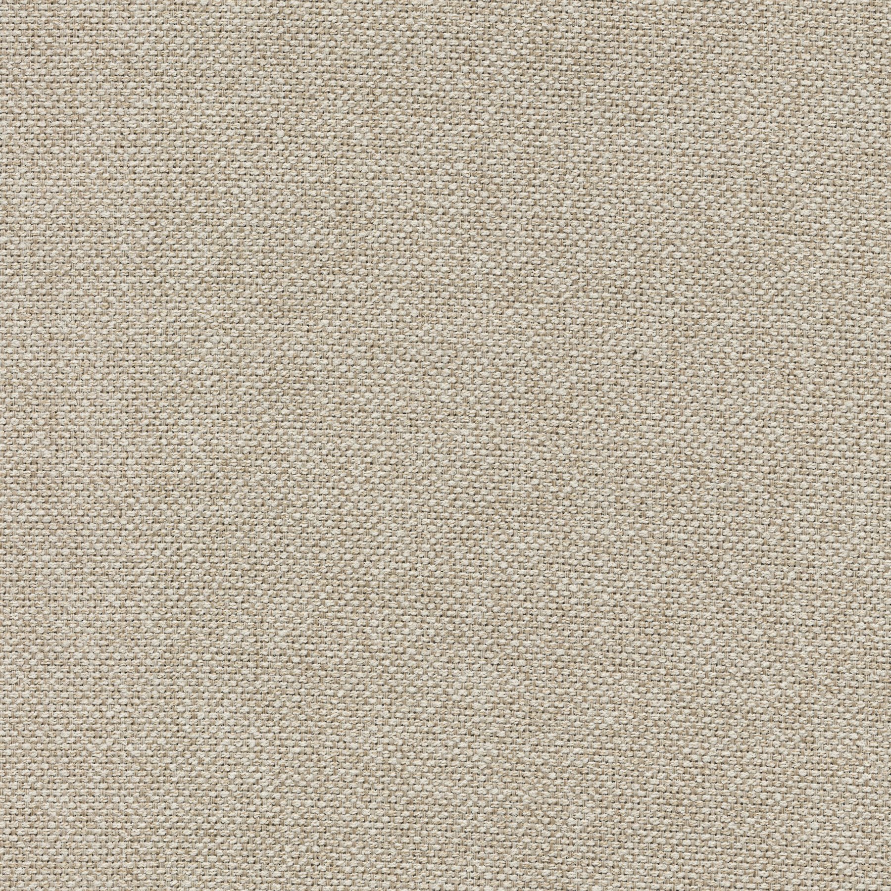 11406 OATMEAL (ORLEANS)