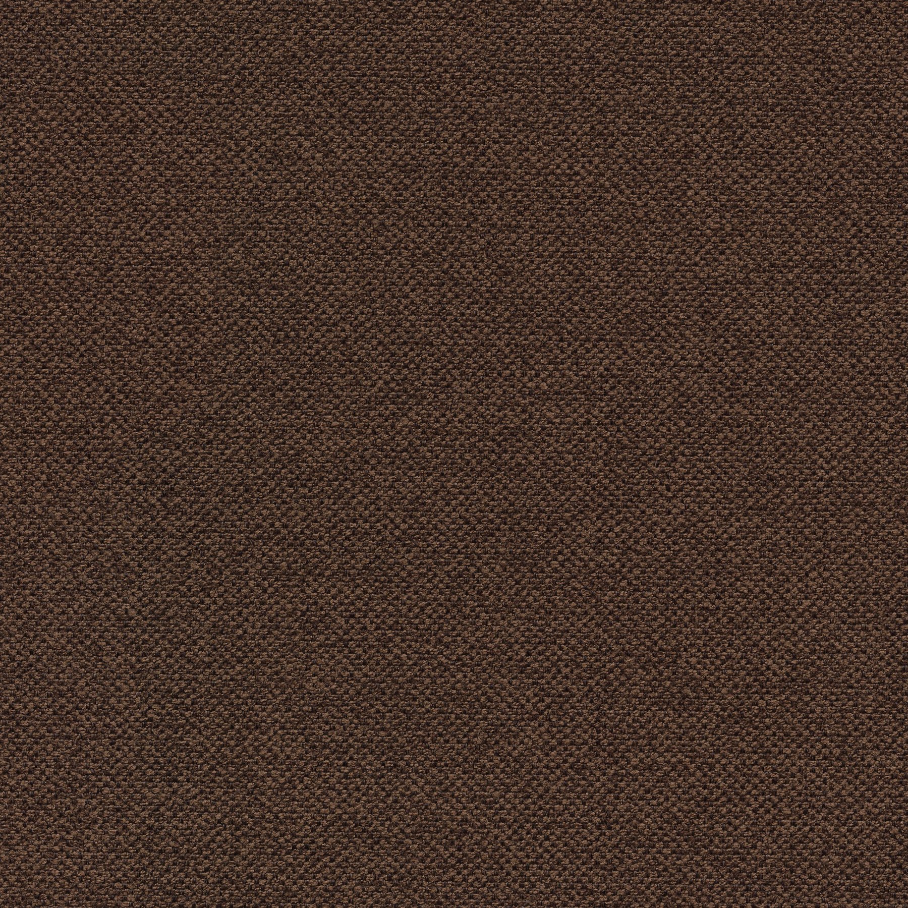 11411 CHOCOLATE (ORLEANS)