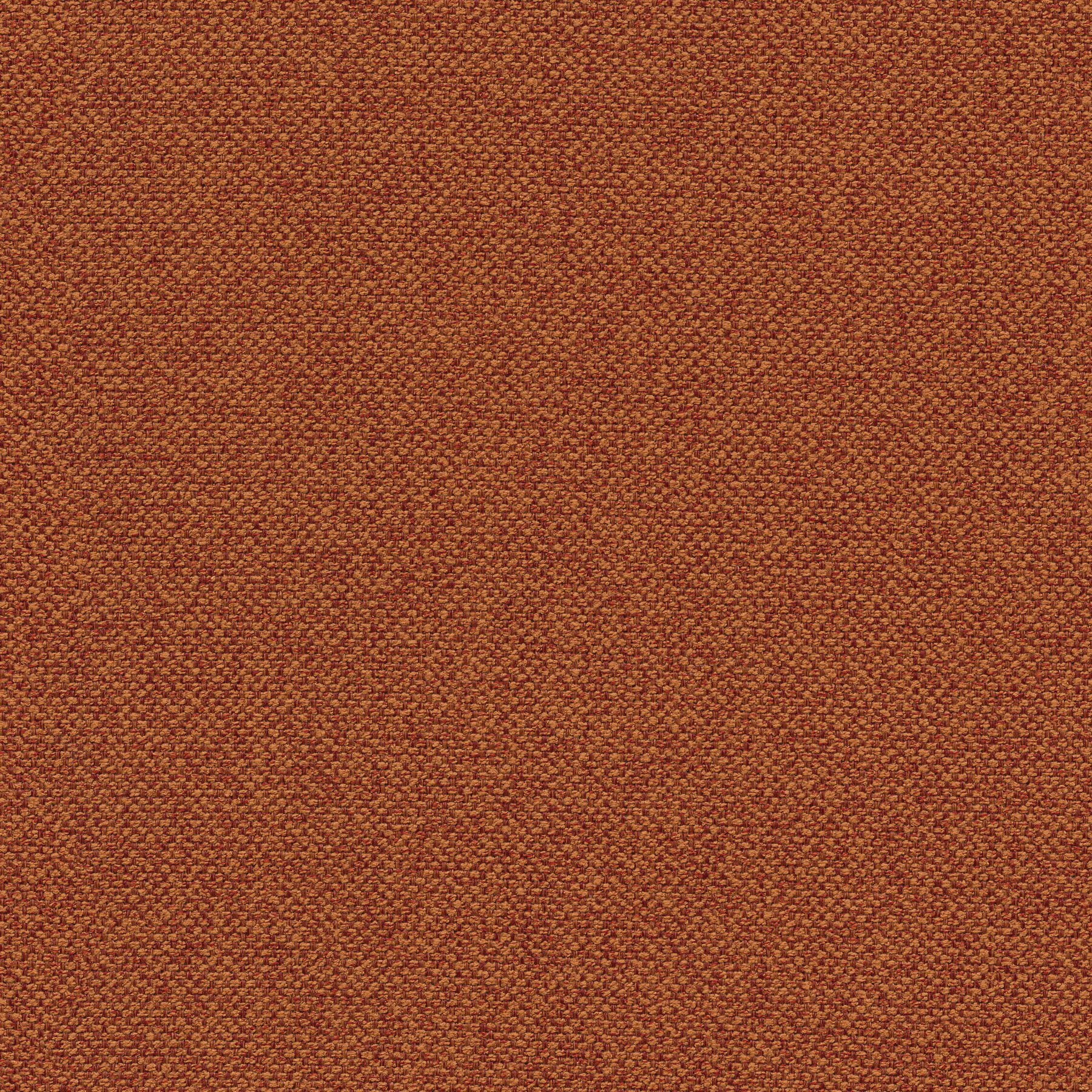 11431 SPICE (ORLEANS)