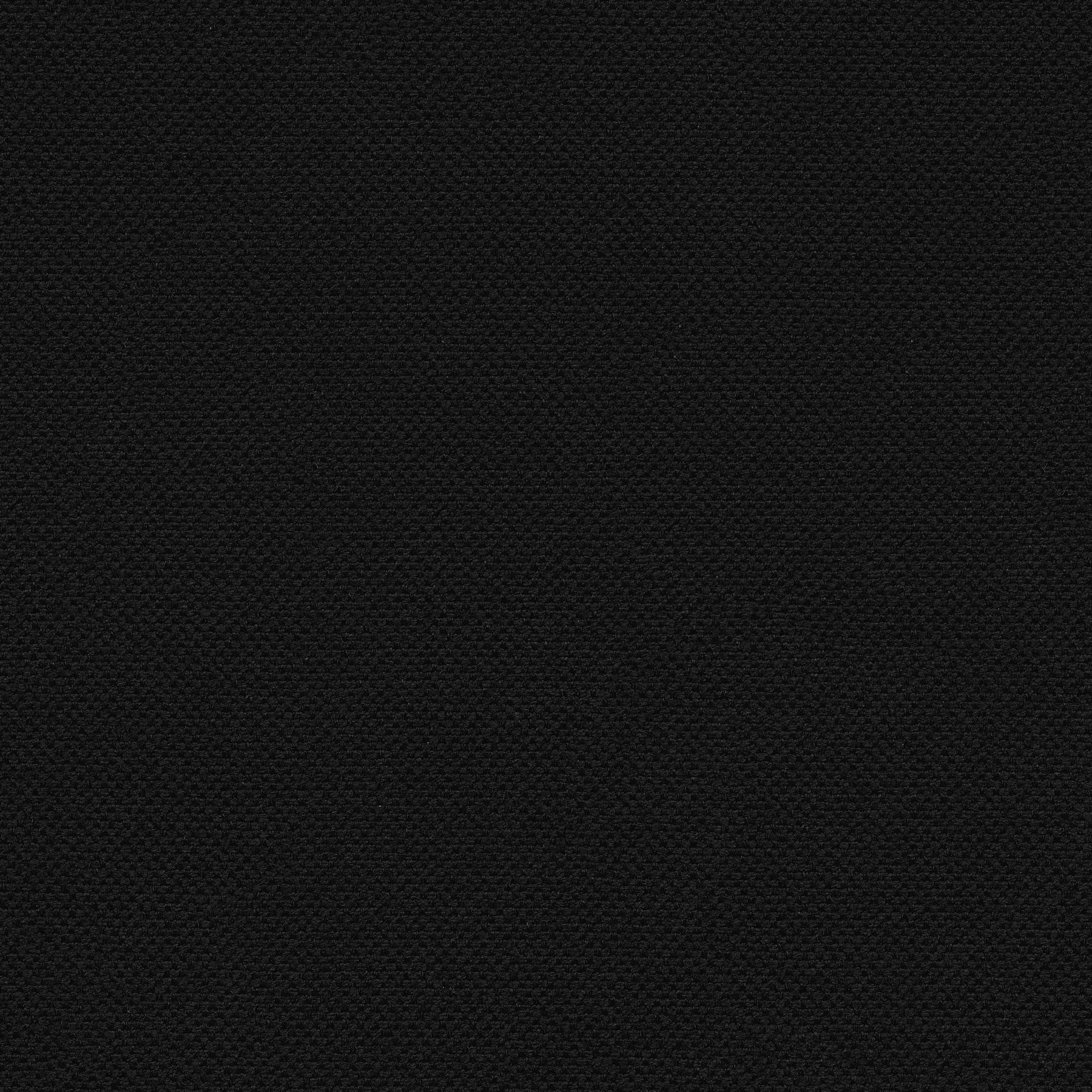 11433 BLACK (ORLEANS)