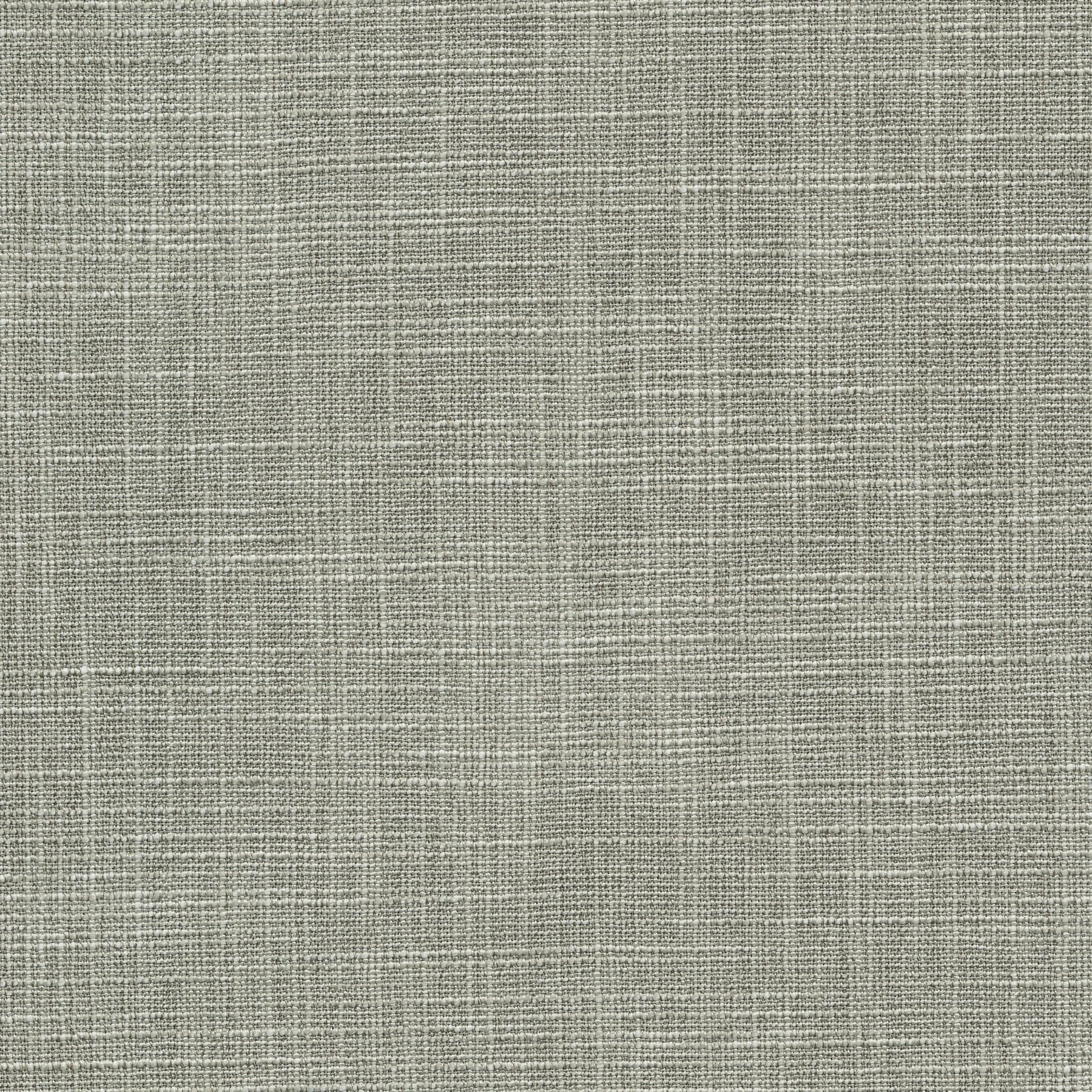 11606 CHINCHILLA (TANGO)