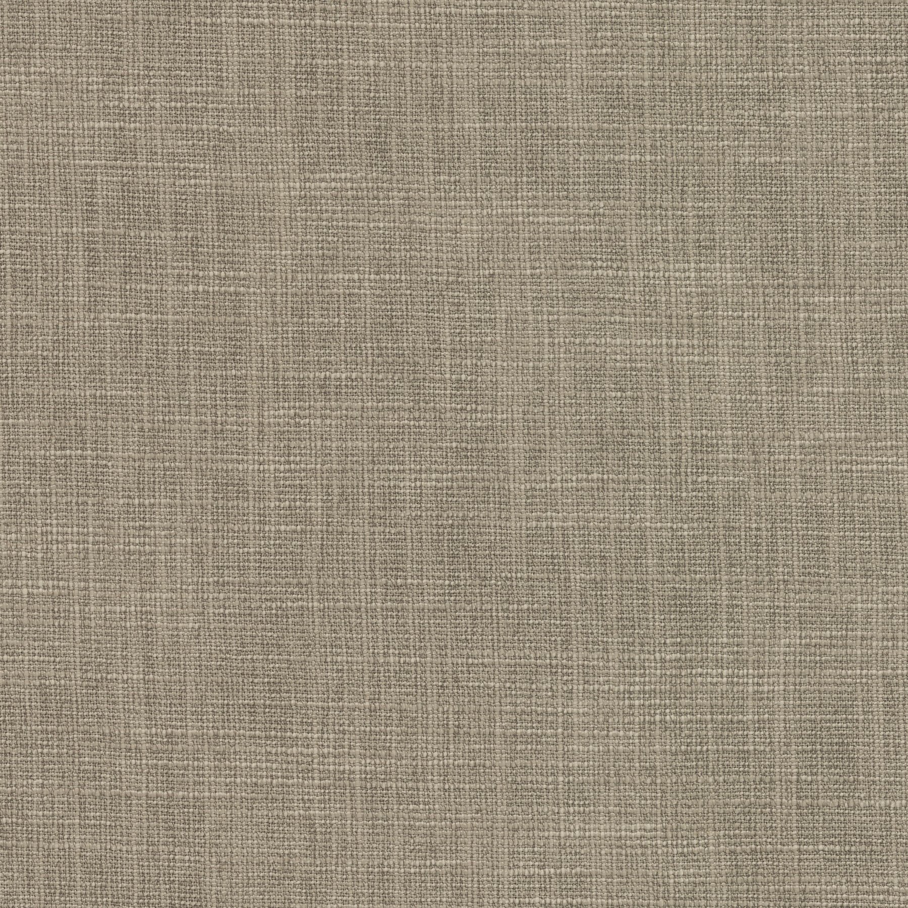 11612 MUSHROOM (TANGO)