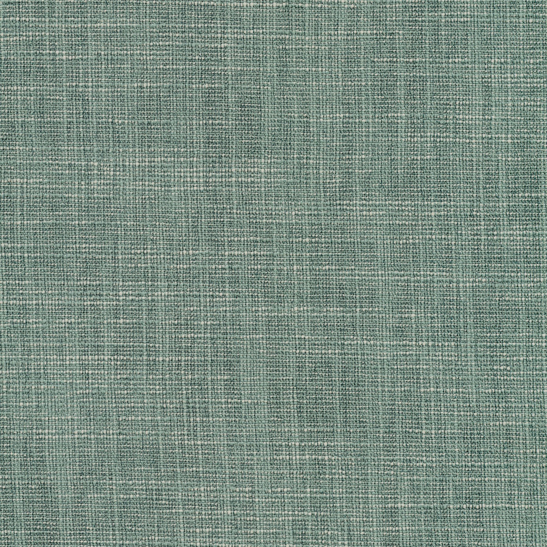 11615 ROSEMARY (TANGO)