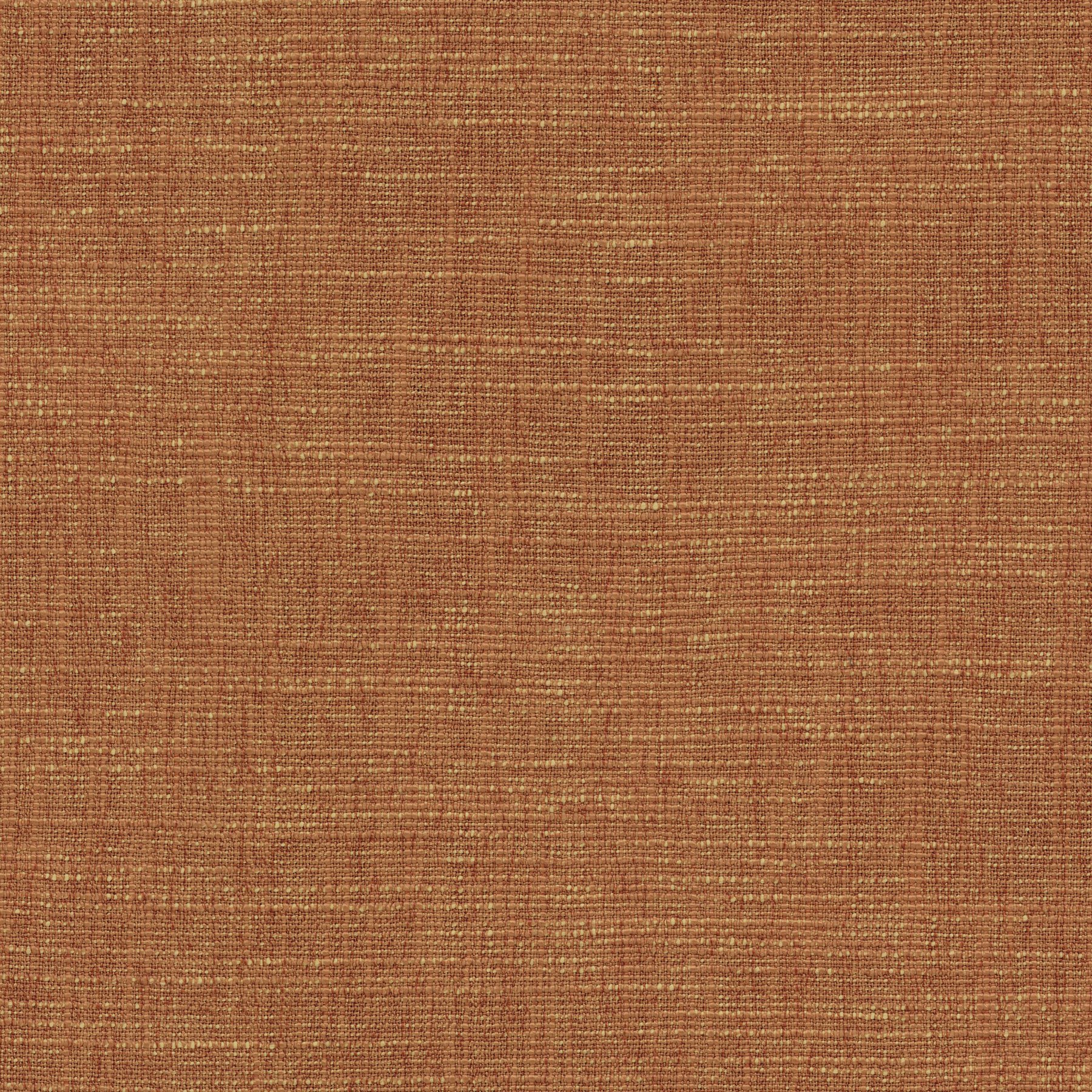 11616 SPICE (TANGO)