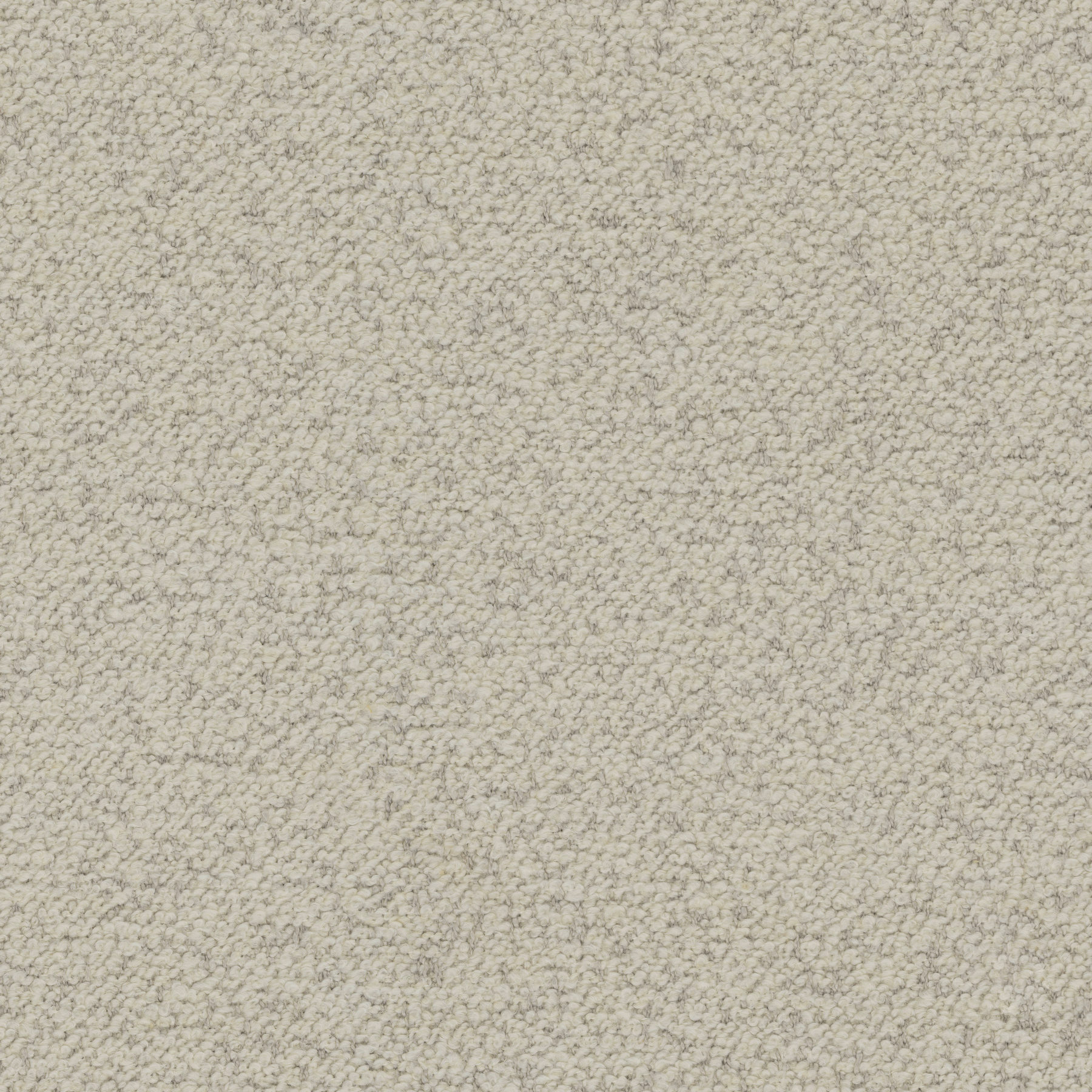 11805 BONE (PARKER)