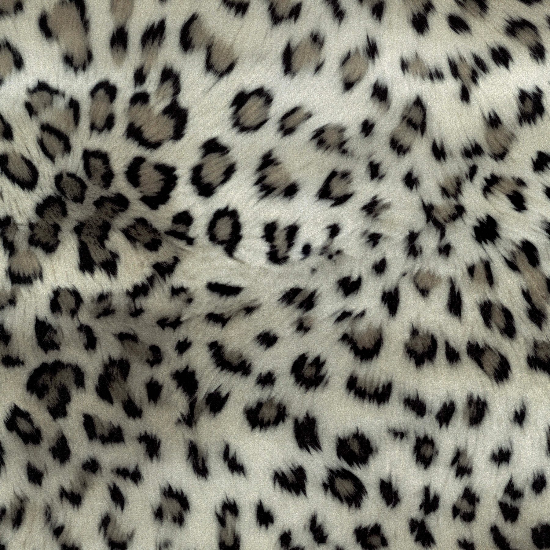 12004 (SNOW LEOPARD)