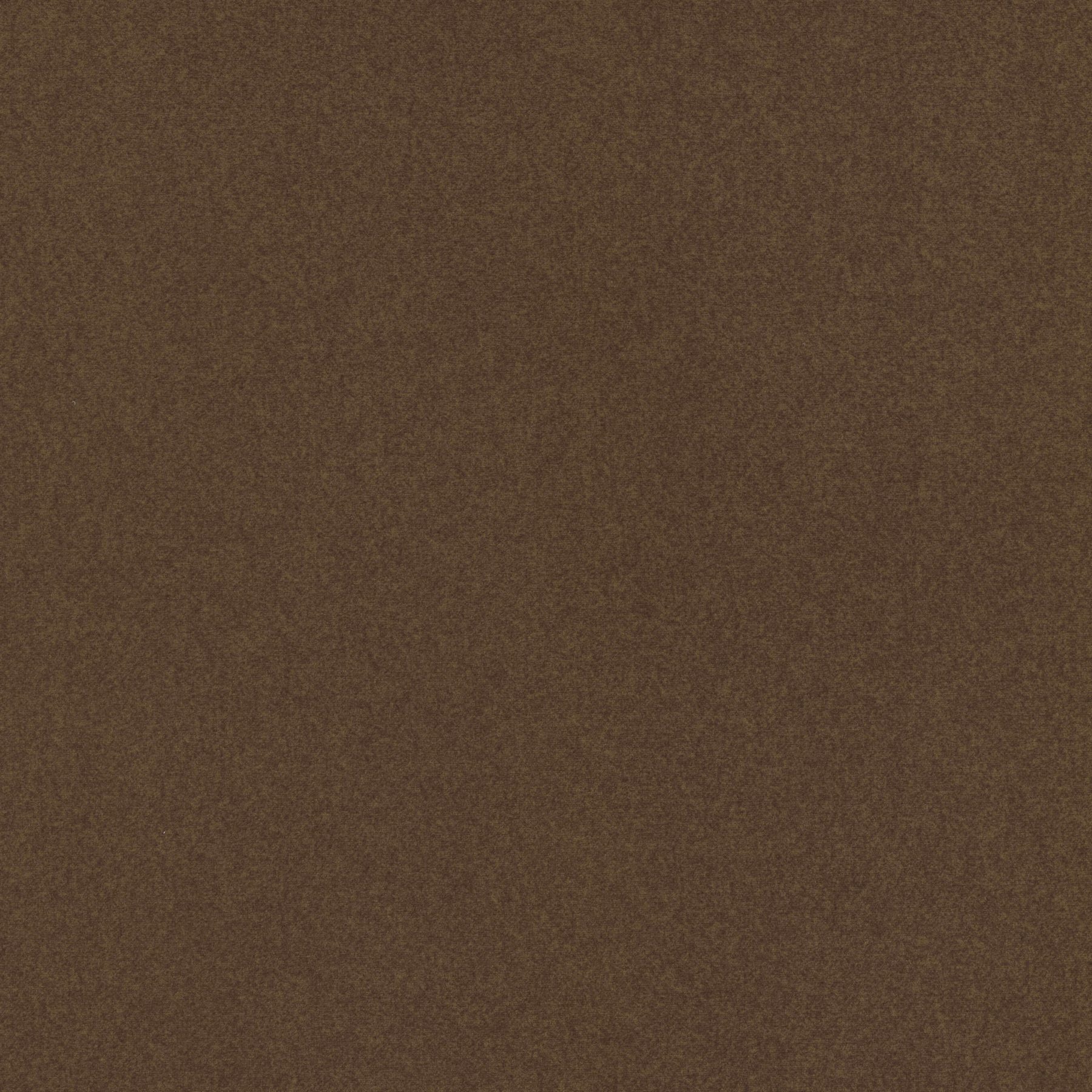 12011 NUTMEG (ARCADE)