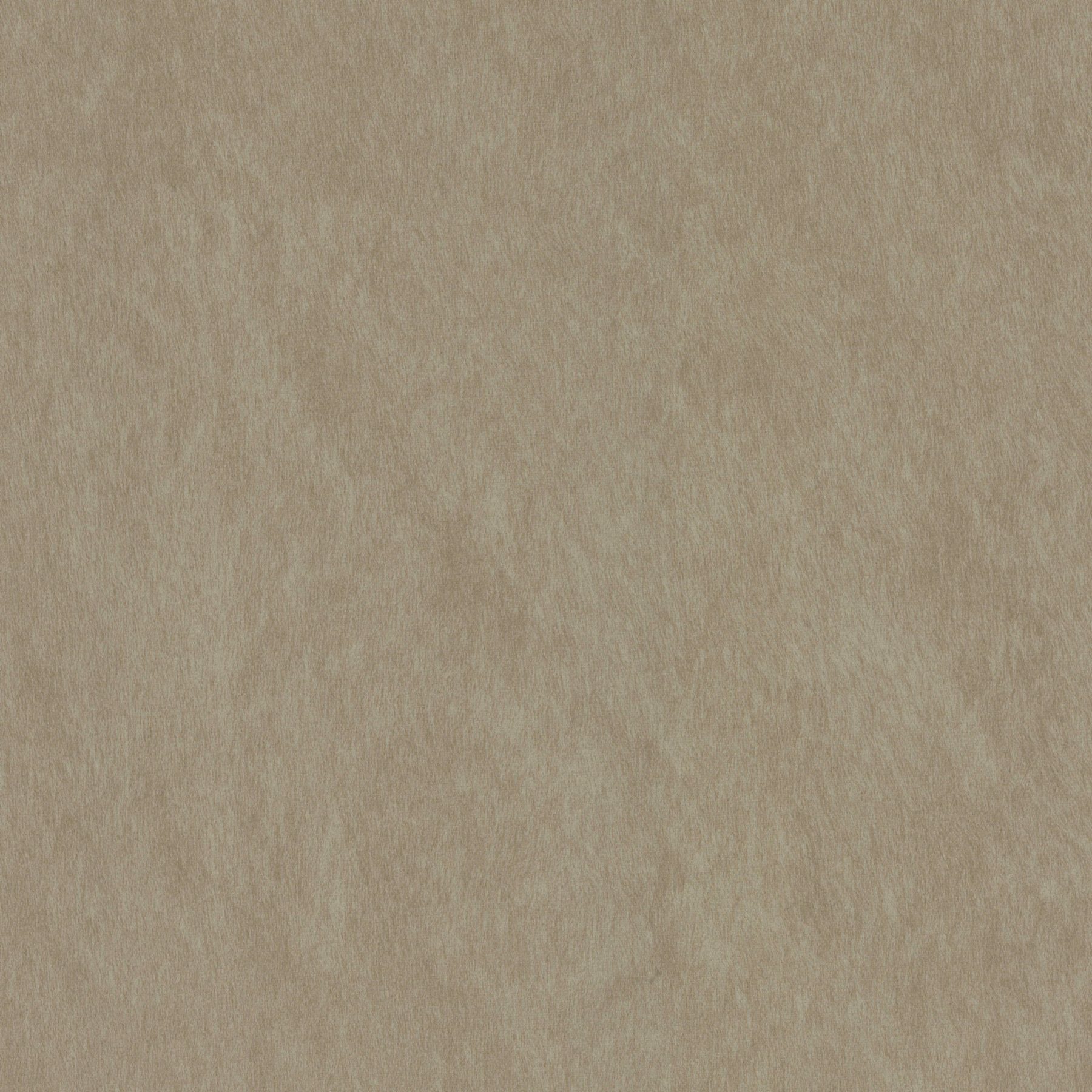 12025 OYSTER (COMPASS)