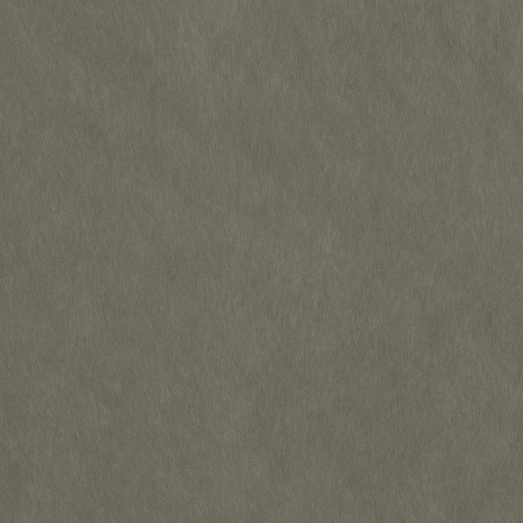 12026 TAUPE (COMPASS)