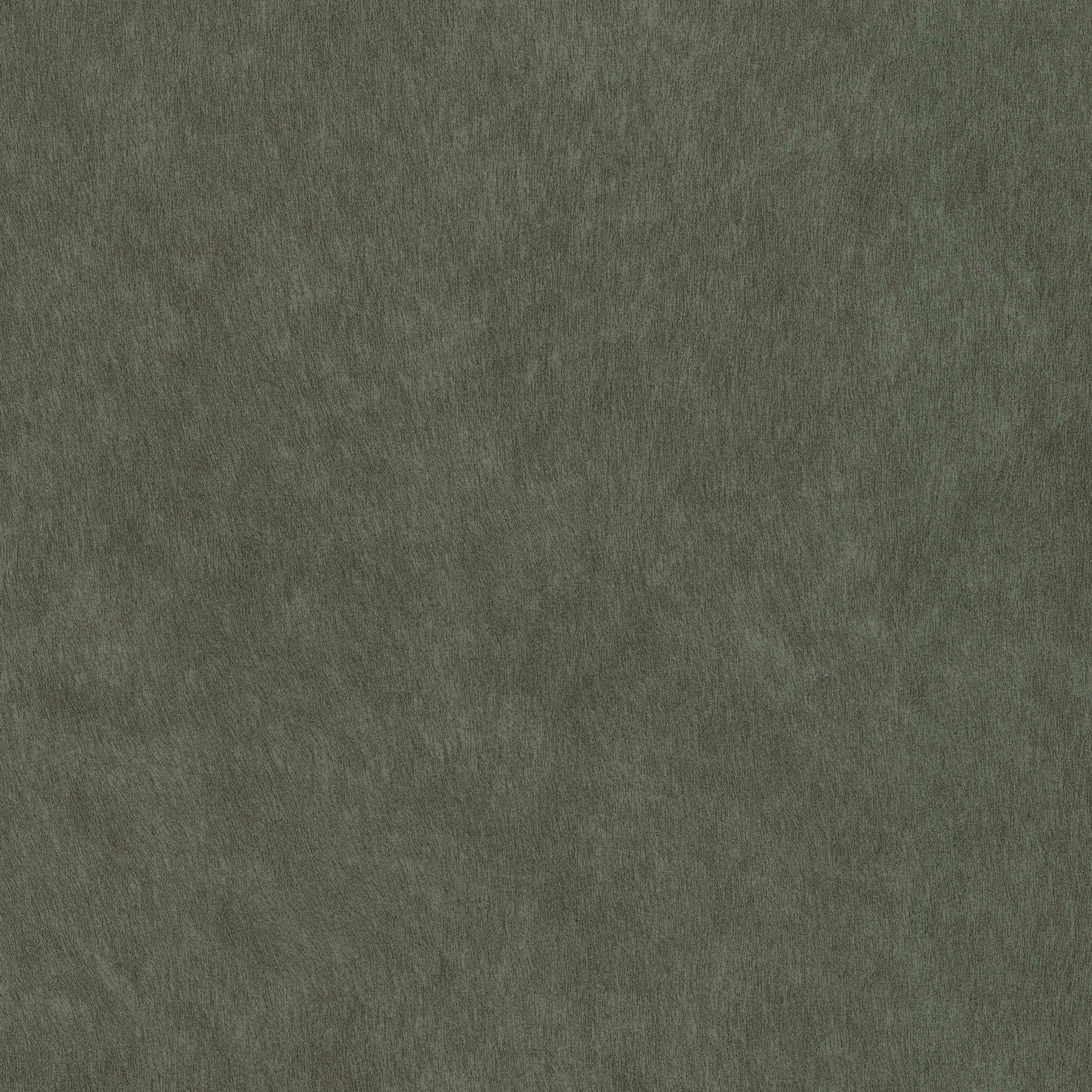 12031 CAPER ( COMPASS)