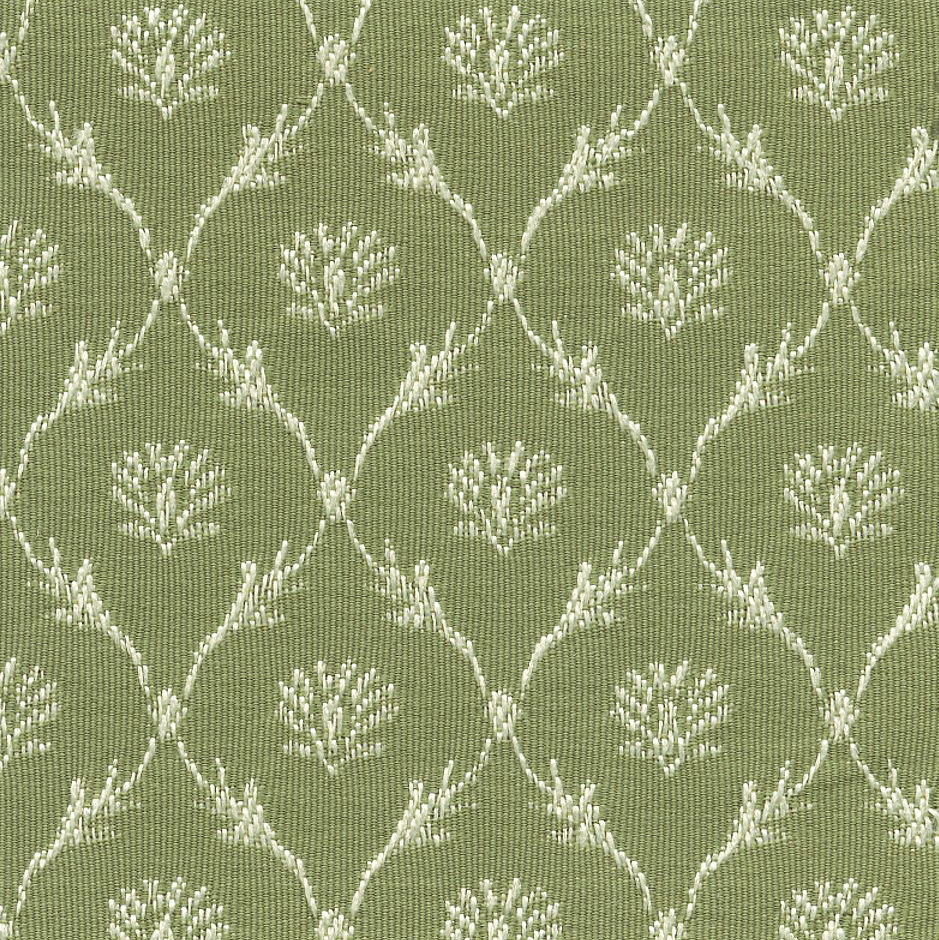 30501 FERN (RENA) WITH NANOTEX