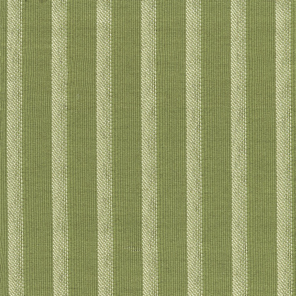 30502 FERN (REGAN) WTIH NANOTEX