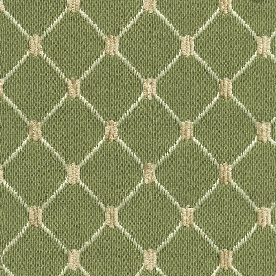 30504 FERN (RACHAEL) WTIH NANOTEX