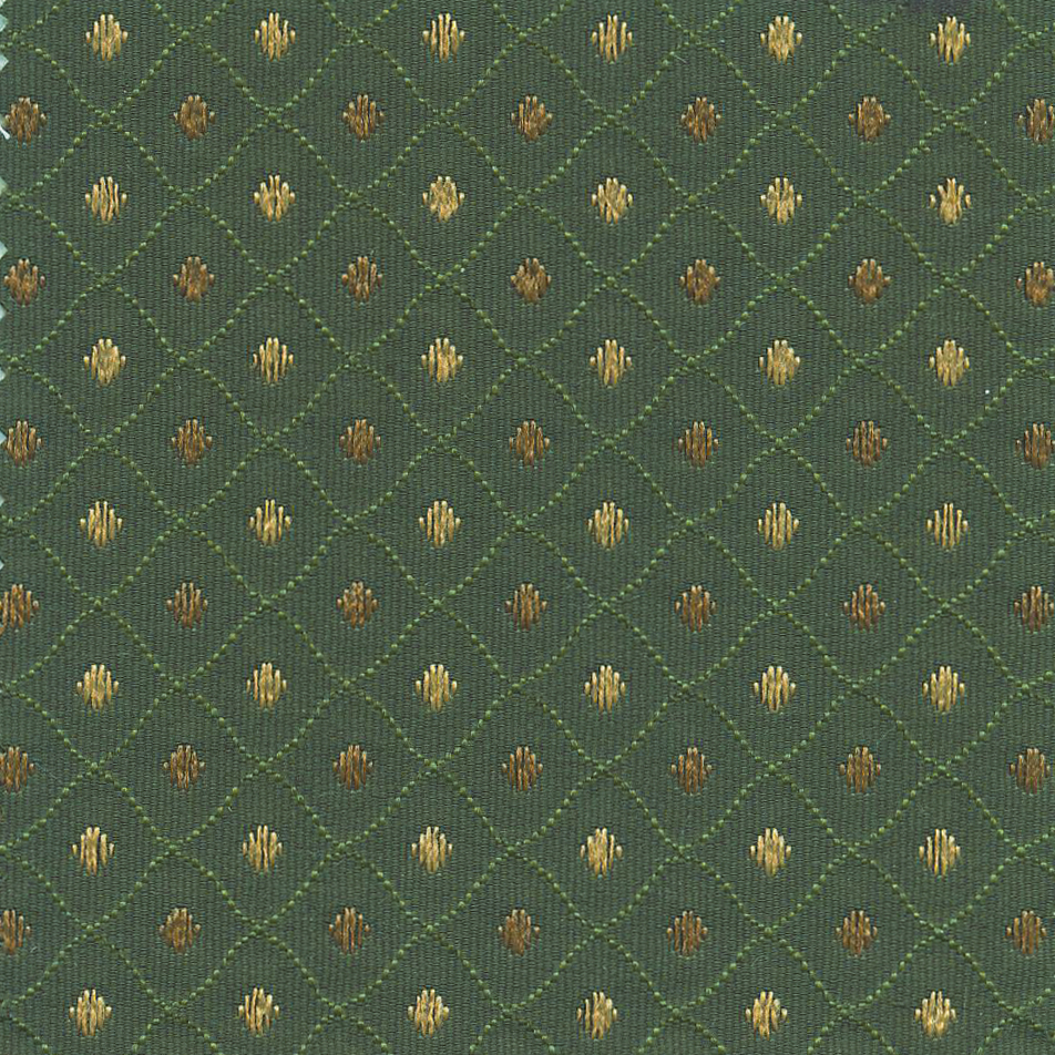 30505 GREEN (RENEE) WITH NANOTEX