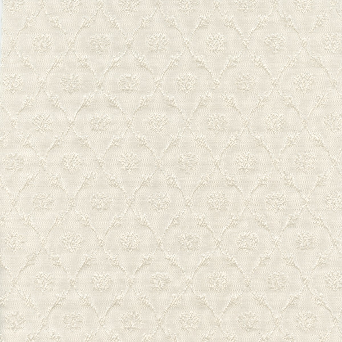 30525 OYSTER (RENA) WITH NANOTEX
