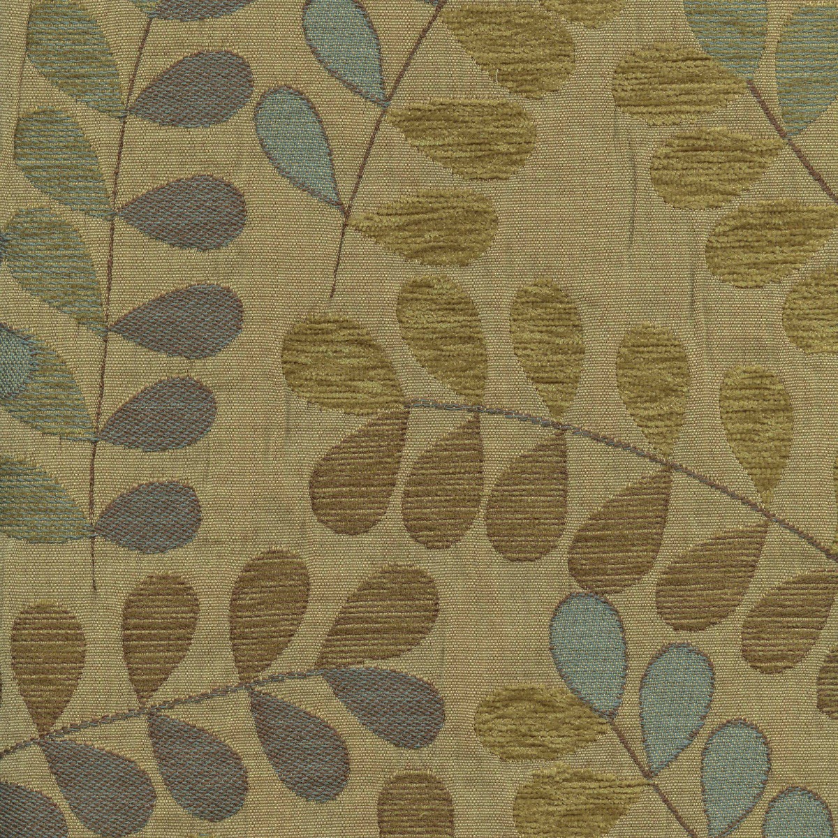 30701 LUSH (CANOPY)
