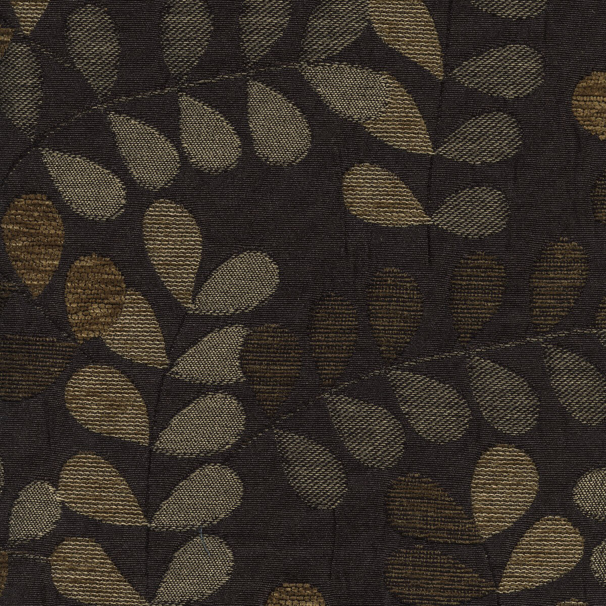30711 BRUNETTE (CANOPY)