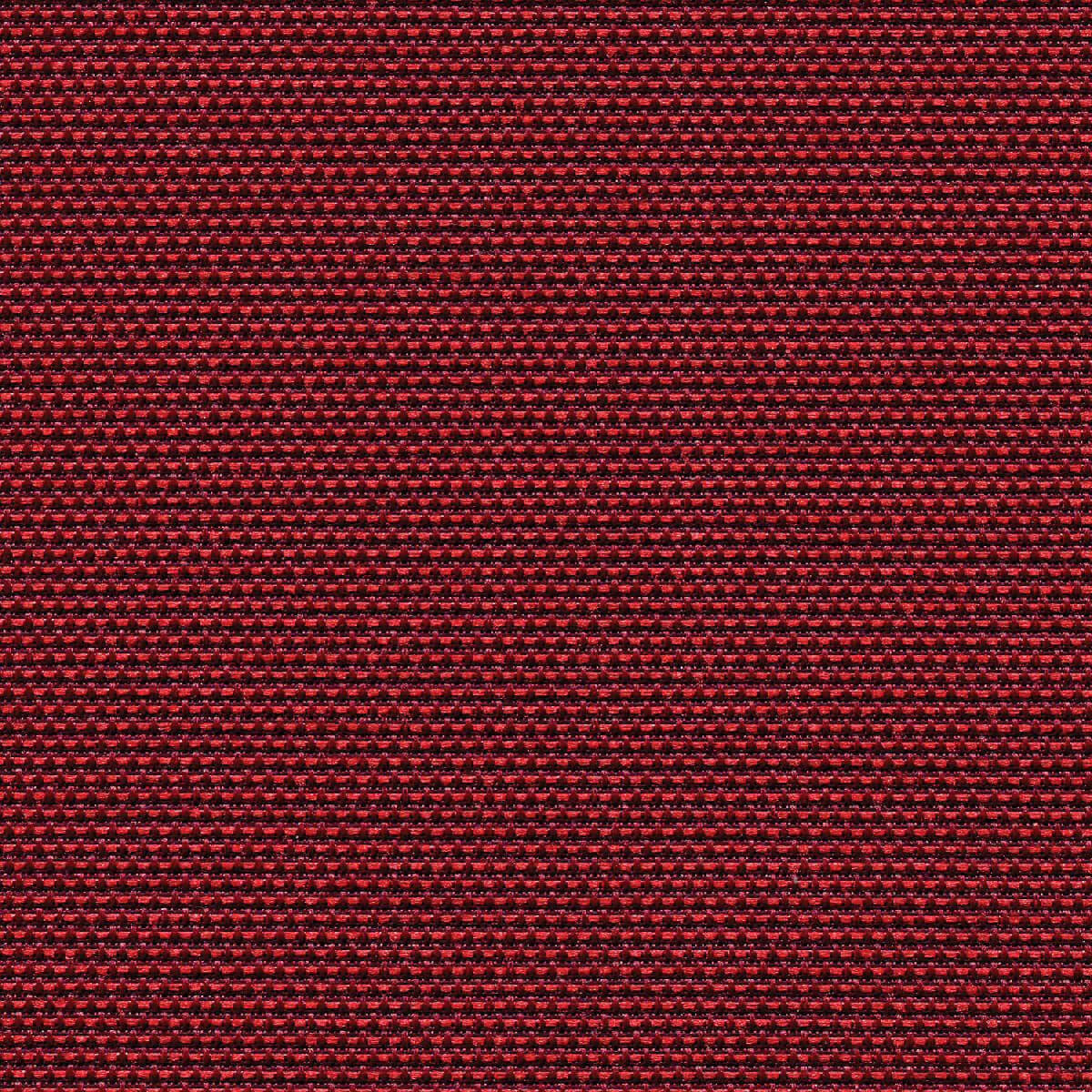 30902 RUBY (MOLLY) 
