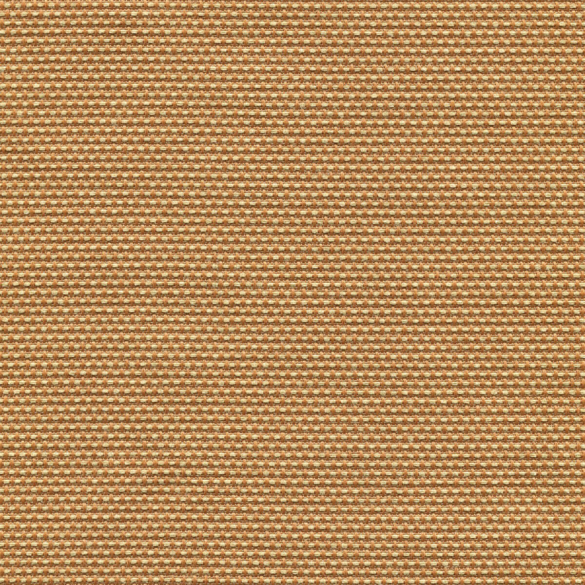 30919 GOLD  (MOLLY)