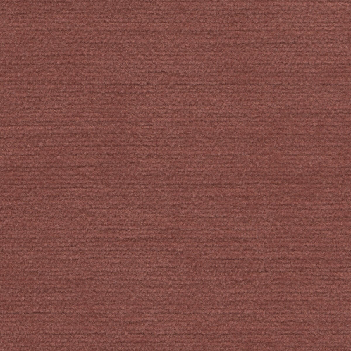 31005 TANGERINE (SONYA) WITH NANOTEX