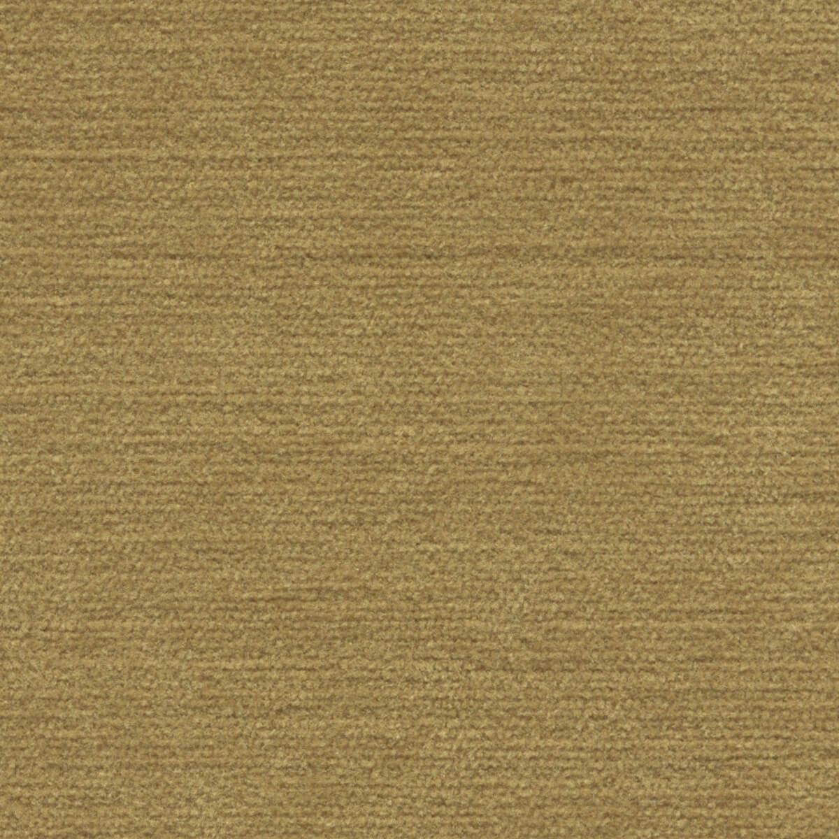 31015 HARVEST (SONYA) WITH NANOTEX