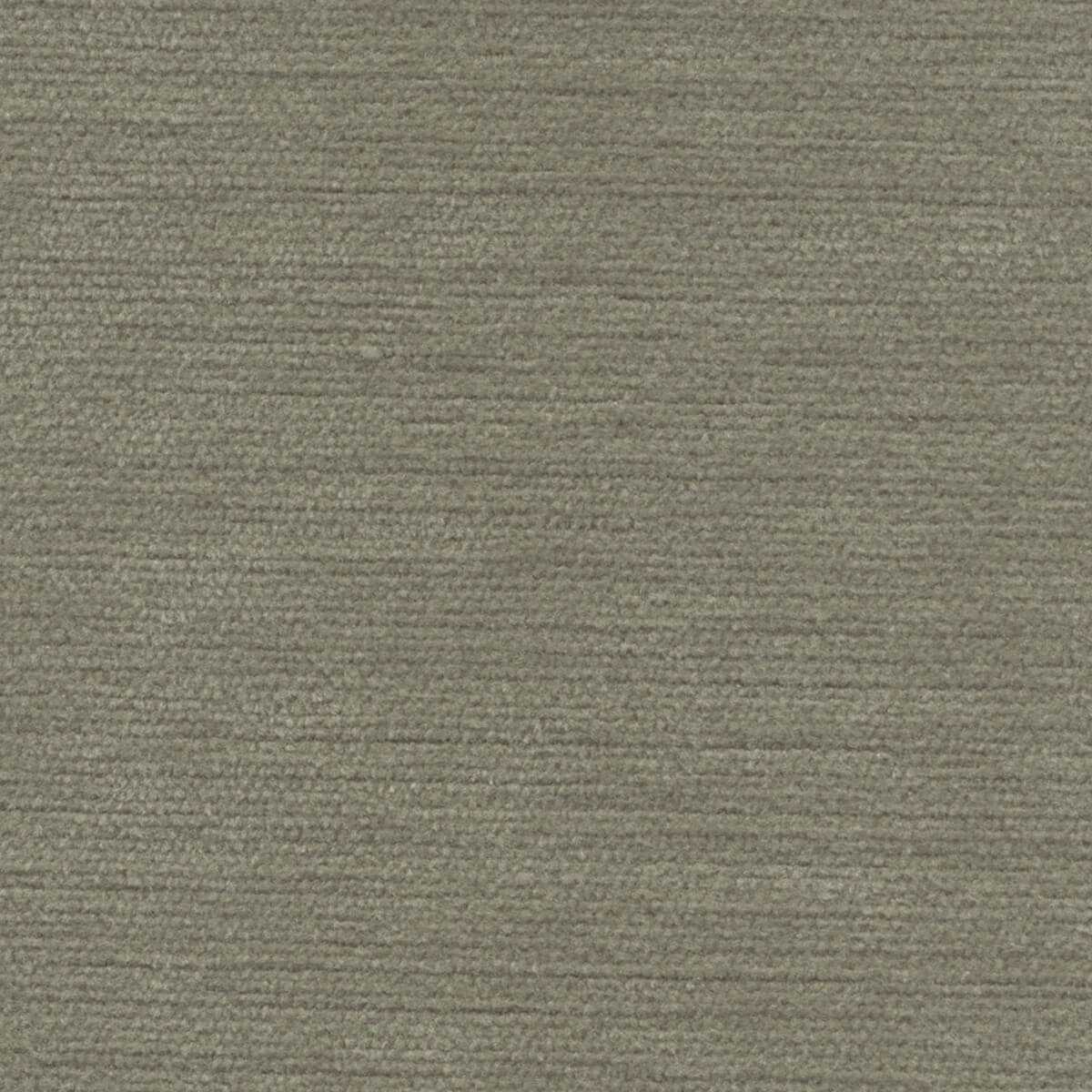 31027 TAUPE (SONYA) WITH NANOTEX