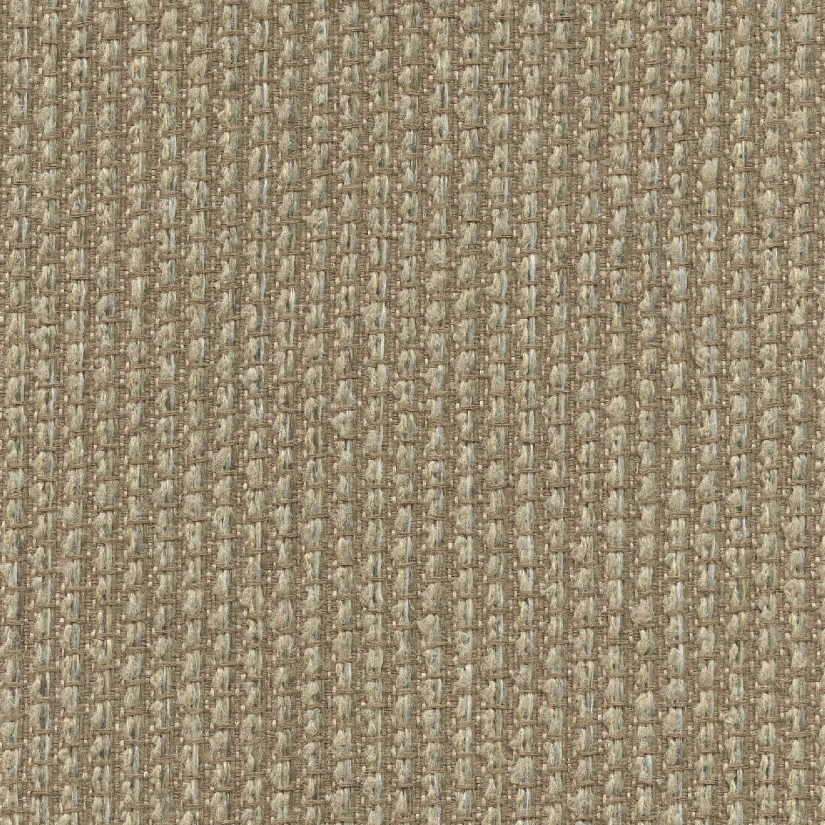 31417 CASHEW (MONTROSE)
