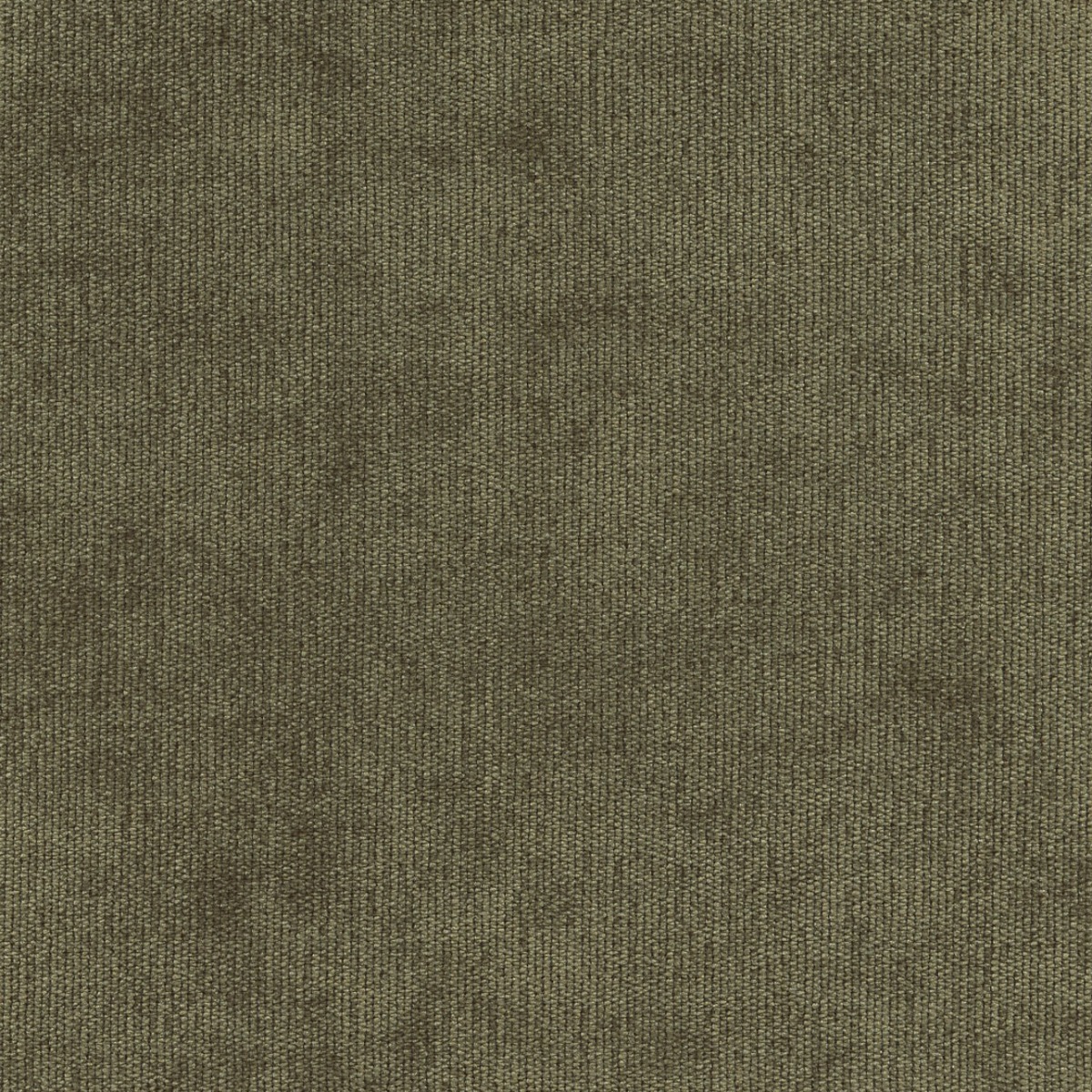 31512 LODEN (DUNKIRK) WITH NANOTEX 