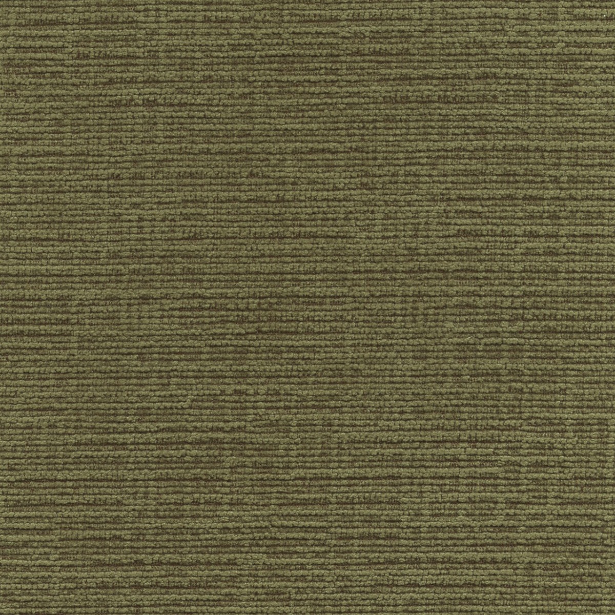 31514 OLIVE (DUBLIN) WITH NANOTEX