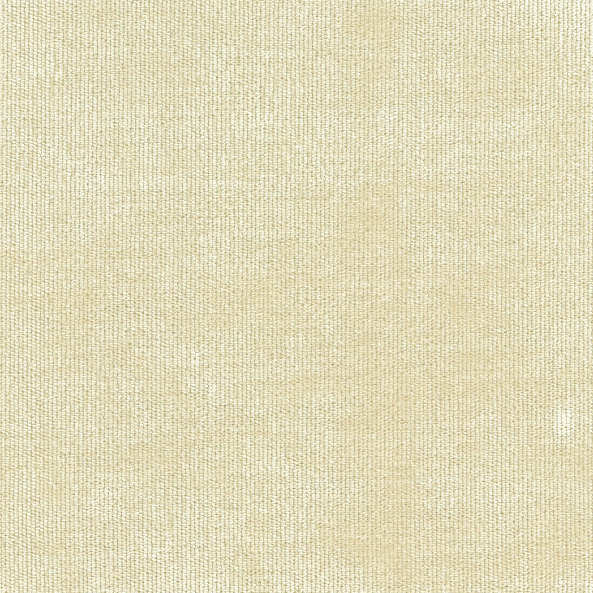 31516 IVORY (DUNKIRK) WITH NANOTEX