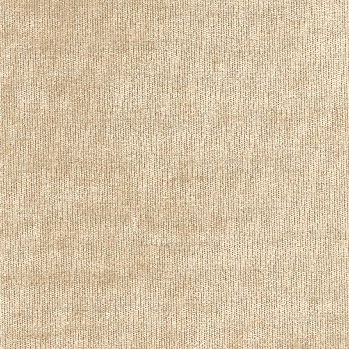 31518 SAND (DUNKIRK) WITH NANOTEX