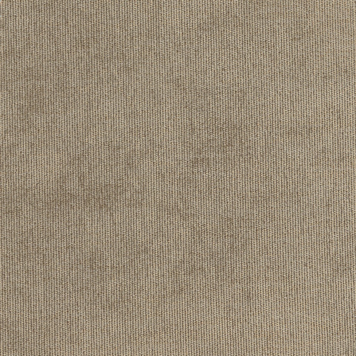 31520 FAWN (DUNKIRK) WITH NANOTEX