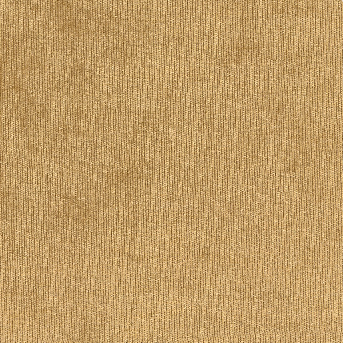31522 GOLD (DUNKIRK) WITH NANOTEX