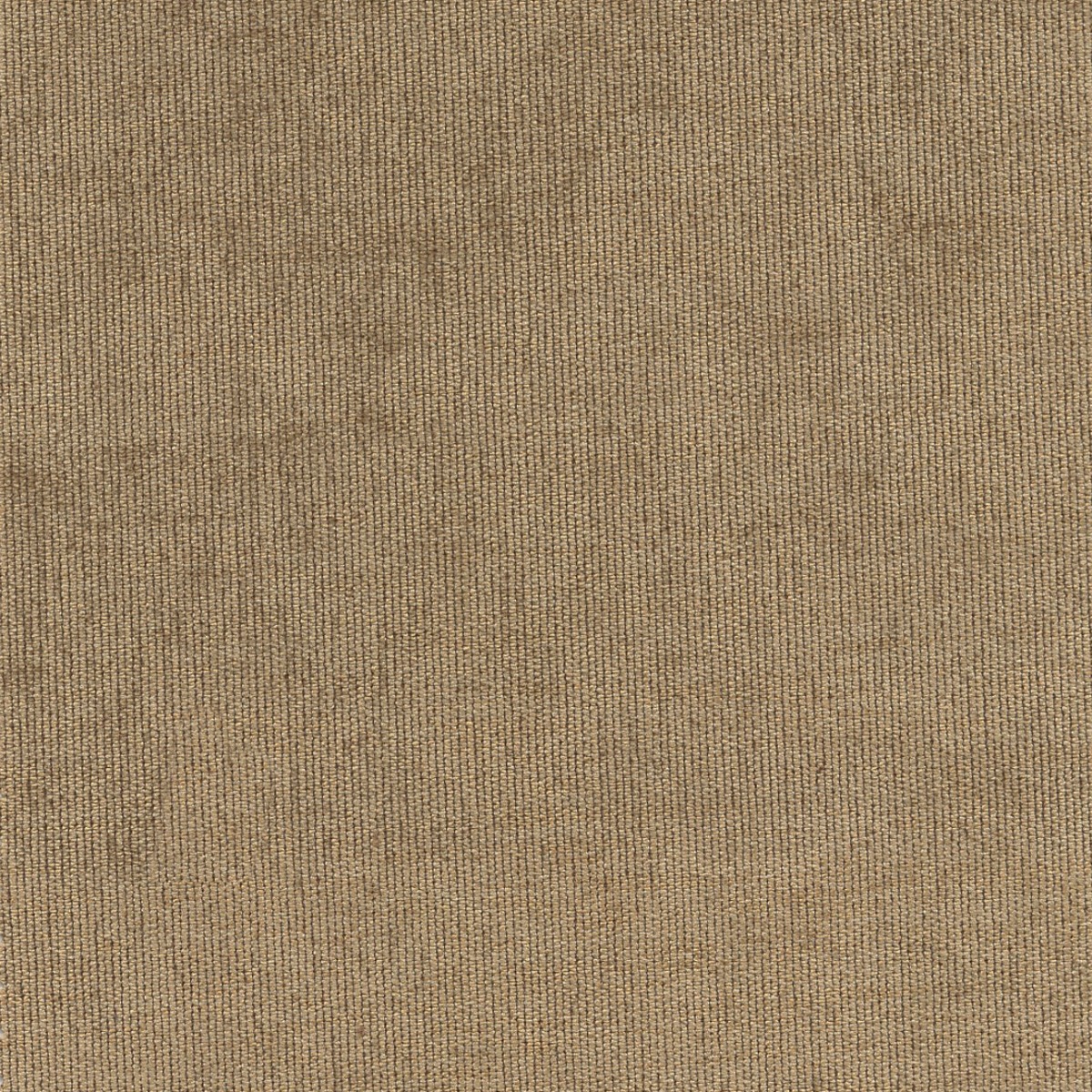 31524 CAMEL (DUNKIRK) WITH NANOTEX