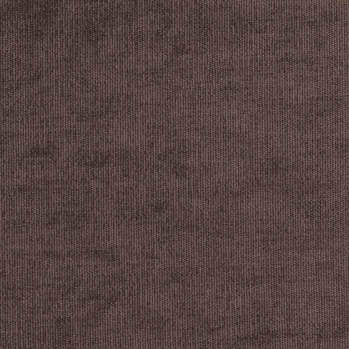 31526 CAROB (DUNKIRK) WITH NANOTEX