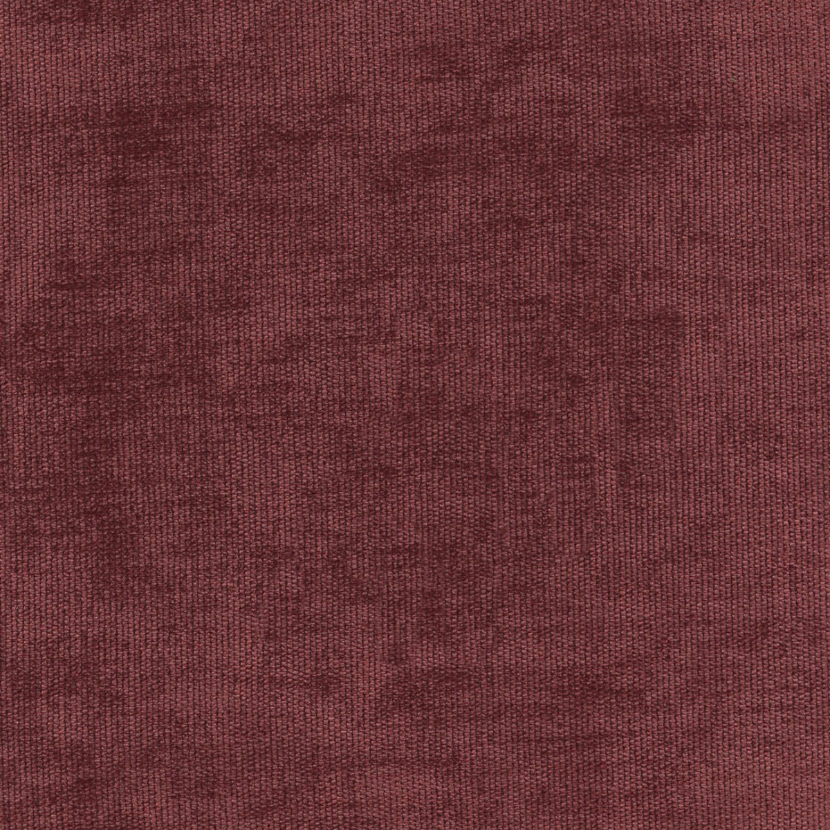 31529 SPICE (DUNKIRK) WITH NANOTEX