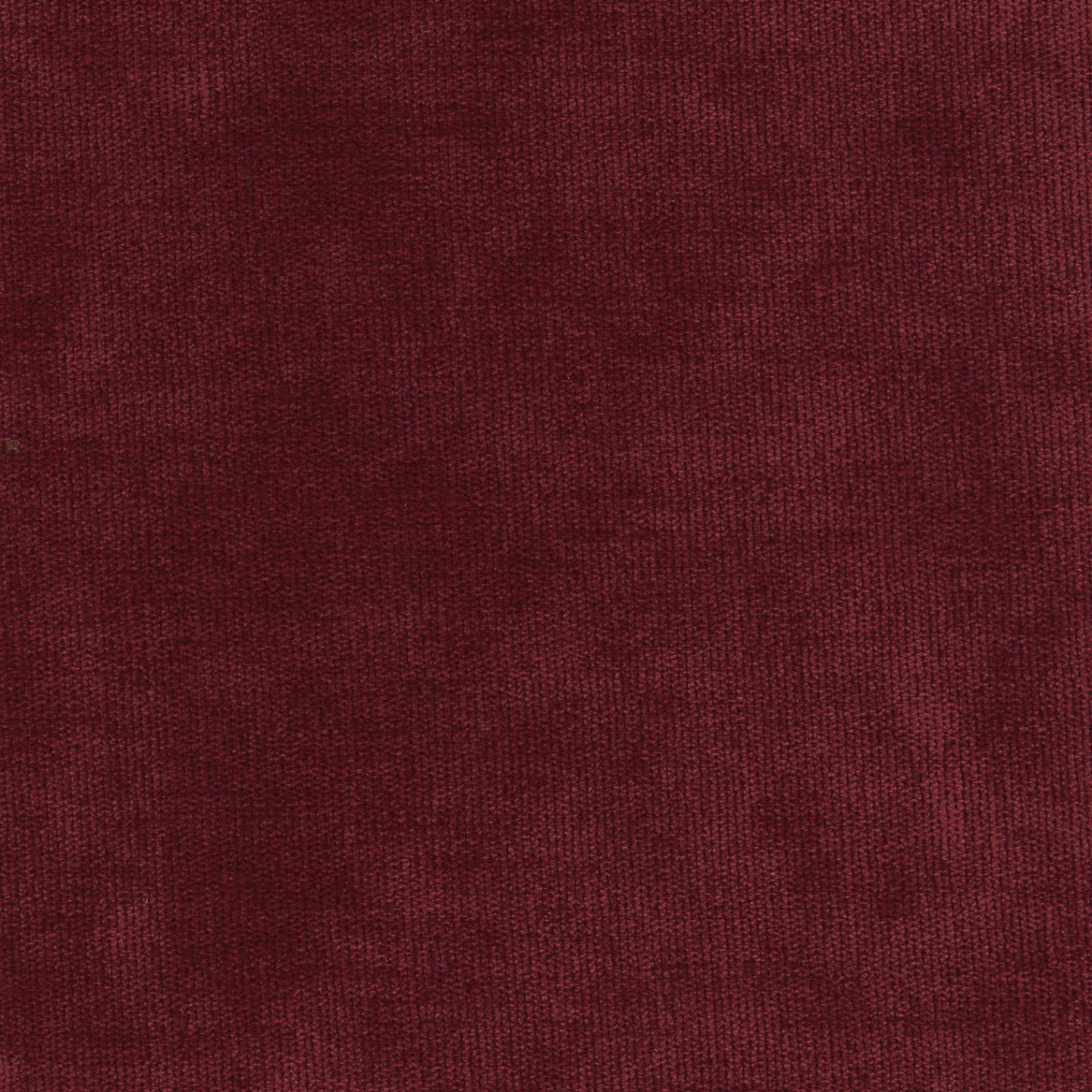 31531 CRANBERRY (DUNKIRK) WITH NANOTEX