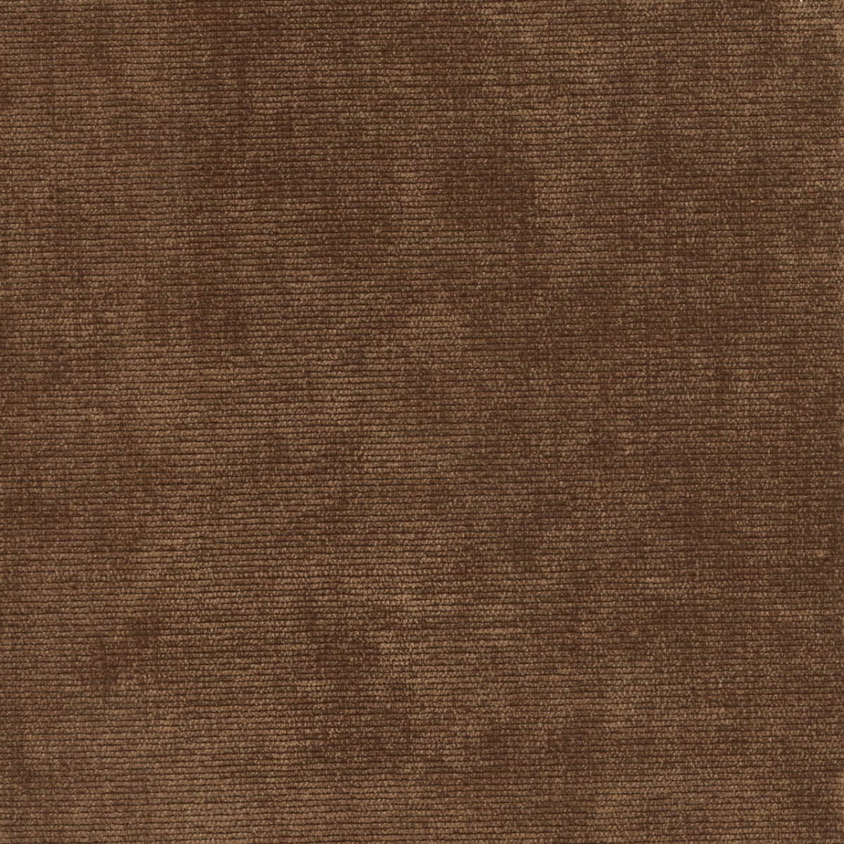 31611 CAROB (DUNKIRK) WITH NANOTEX