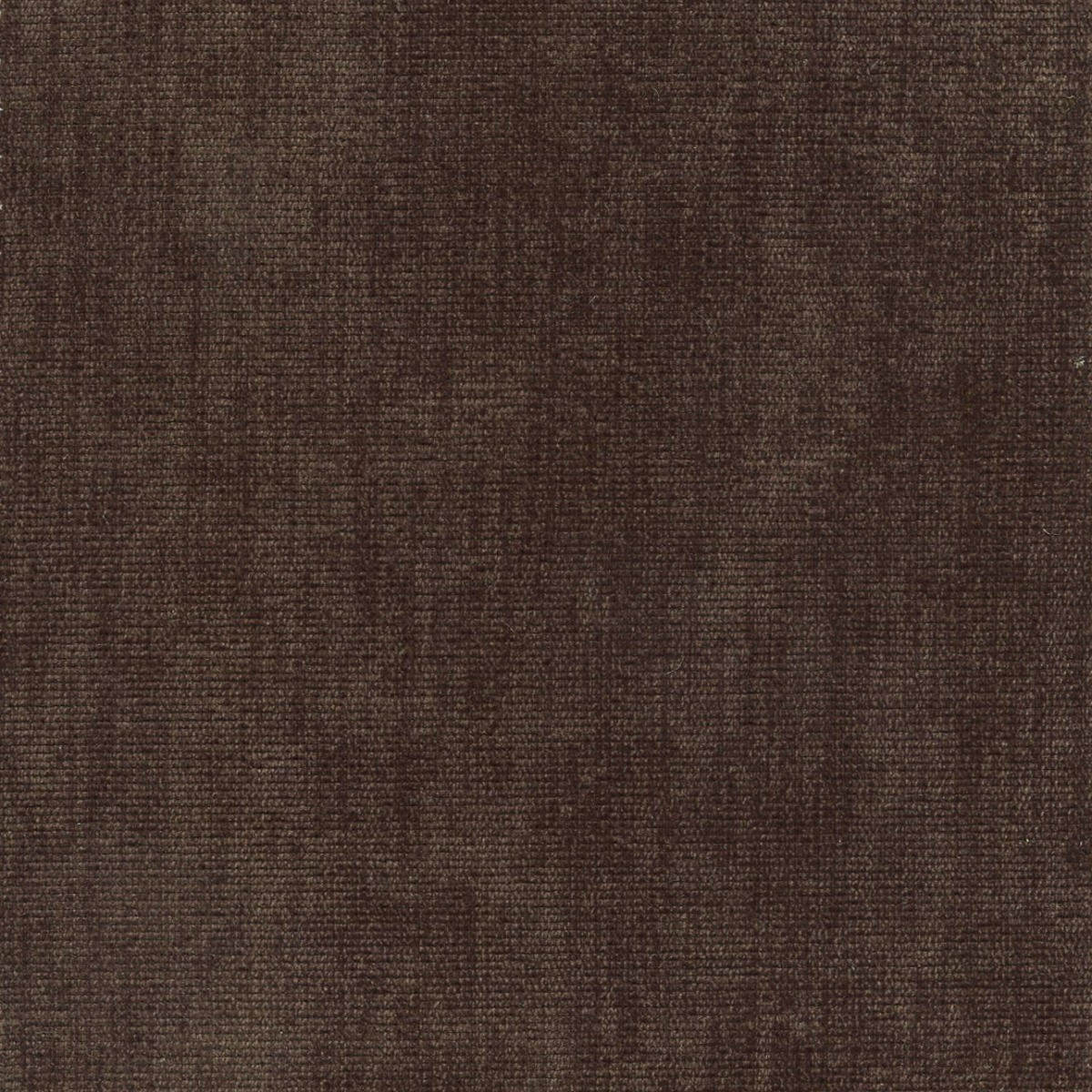 31612 CHOCOLATE (DUNKIRK) WITH NANOTEX
