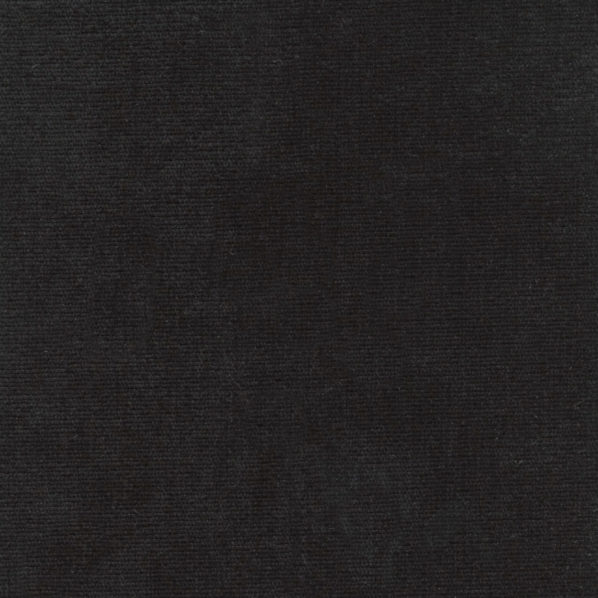 31614 BLACK (DUNKIRK) WITH NANOTEX