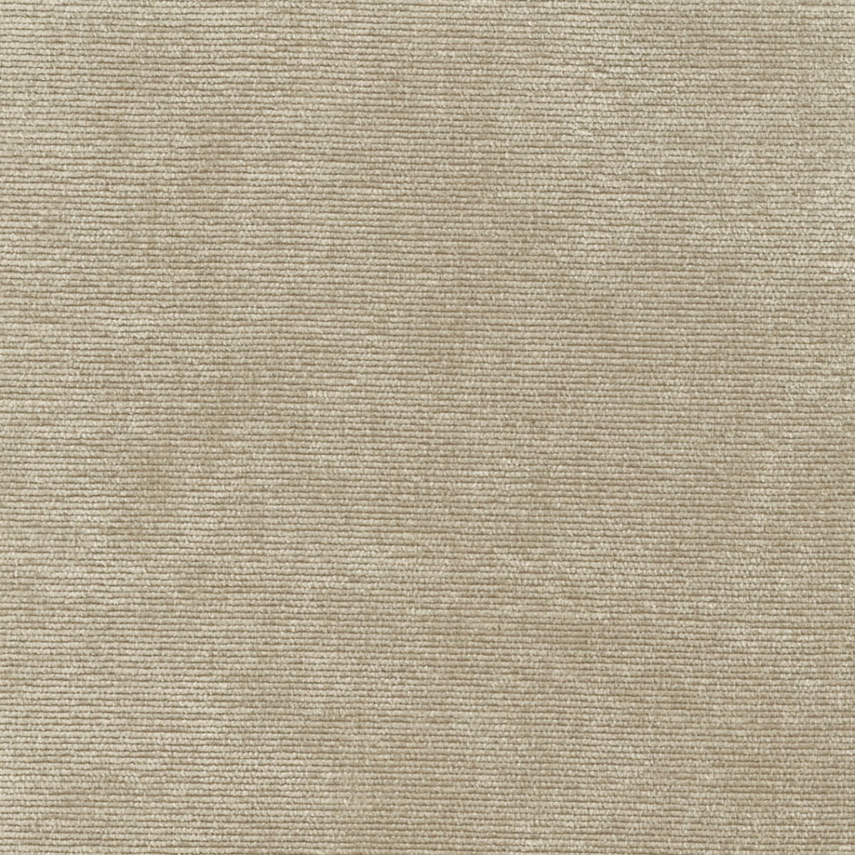 31615 FLANNEL (DUNKIRK) WITH NANOTEX
