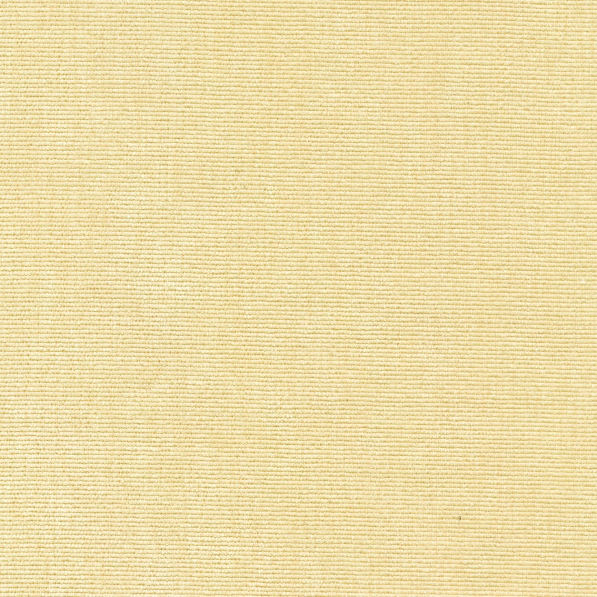 31618 IVORY (DUNKIRK) WITH NANOTEX