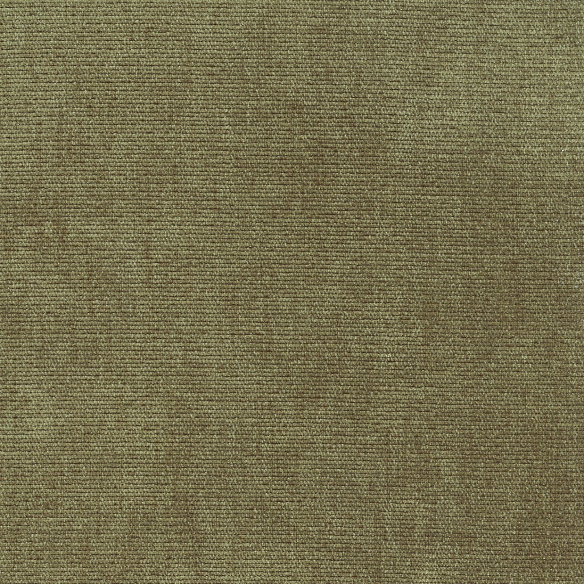 31621 LODEN (DUNKIRK) WITH NANOTEX