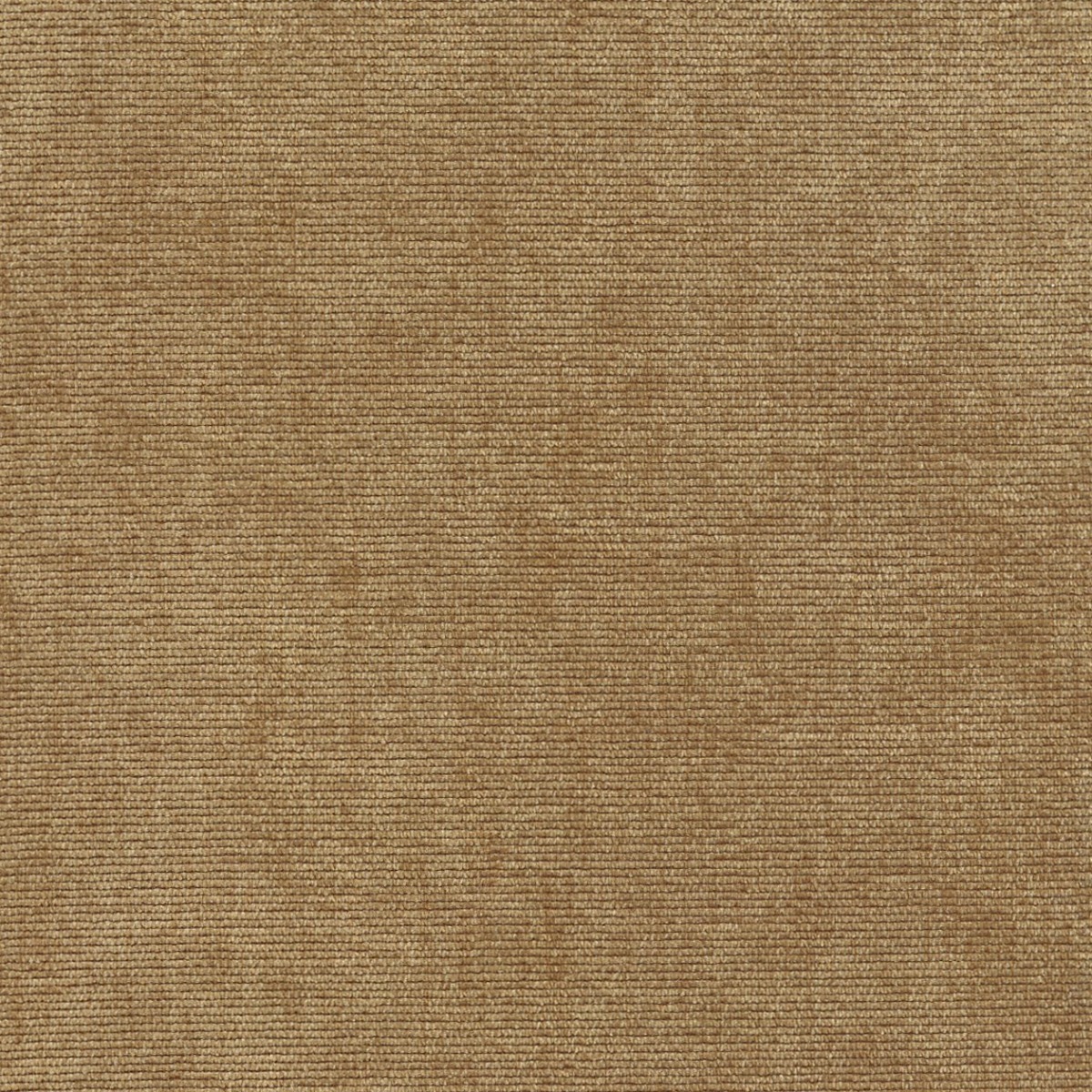31629 CAMEL (DUNKIRK) WITH NANOTEX