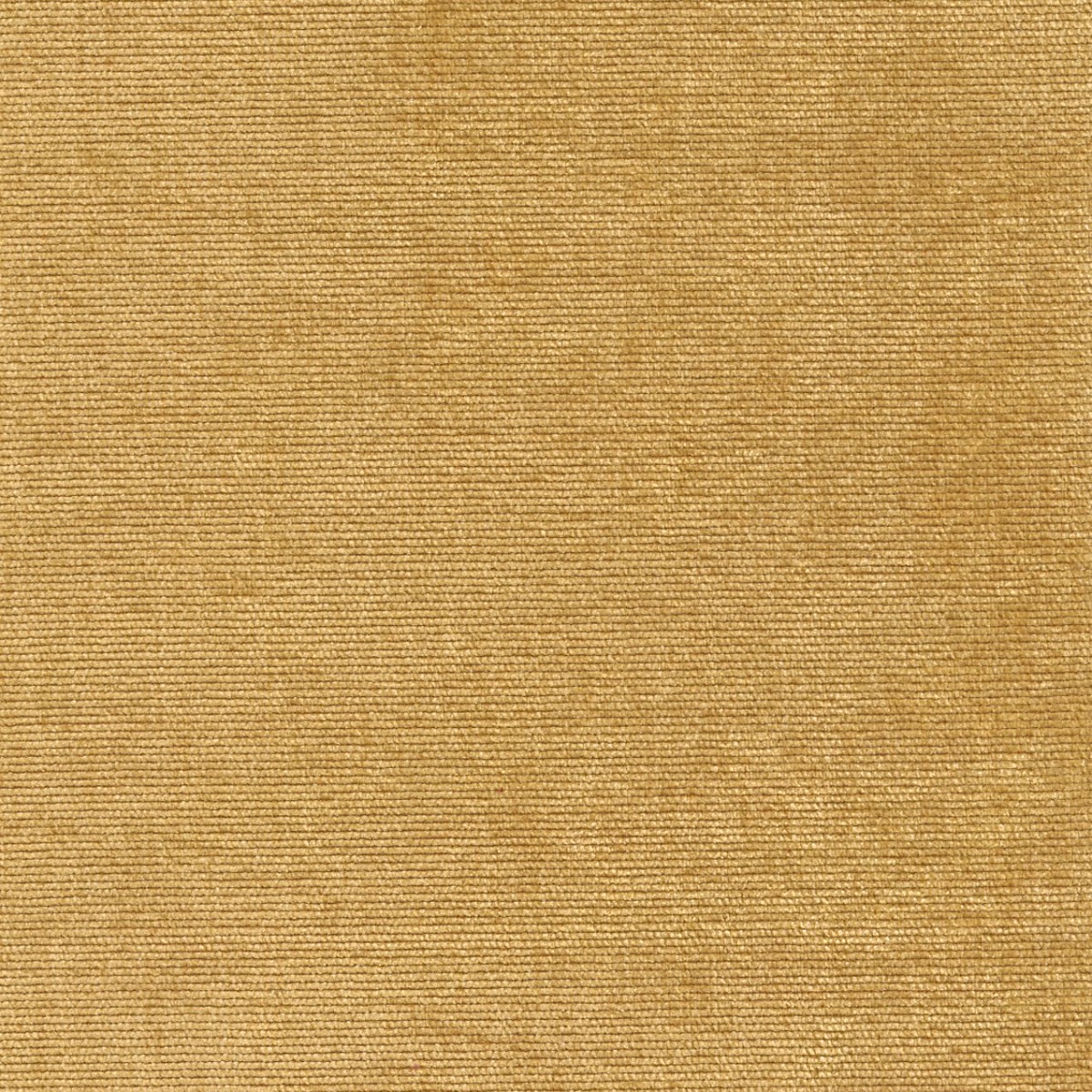 31631 GOLD (DUNKIRK) WITH NANOTEX