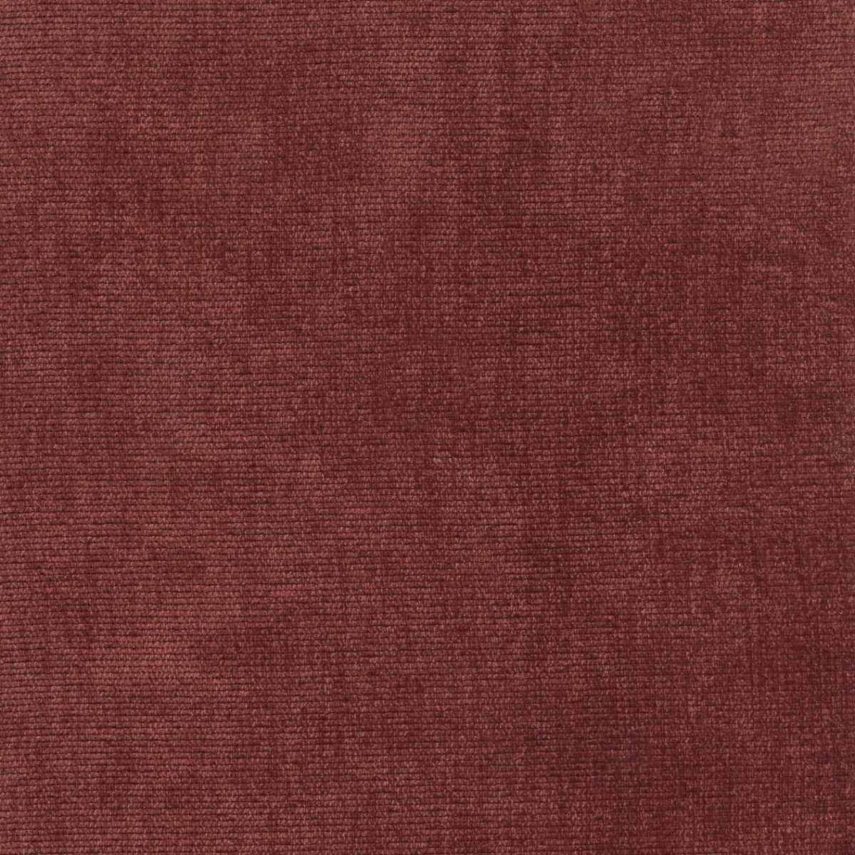 31634 SPICE (DUNKIRK) WITH NANOTEX