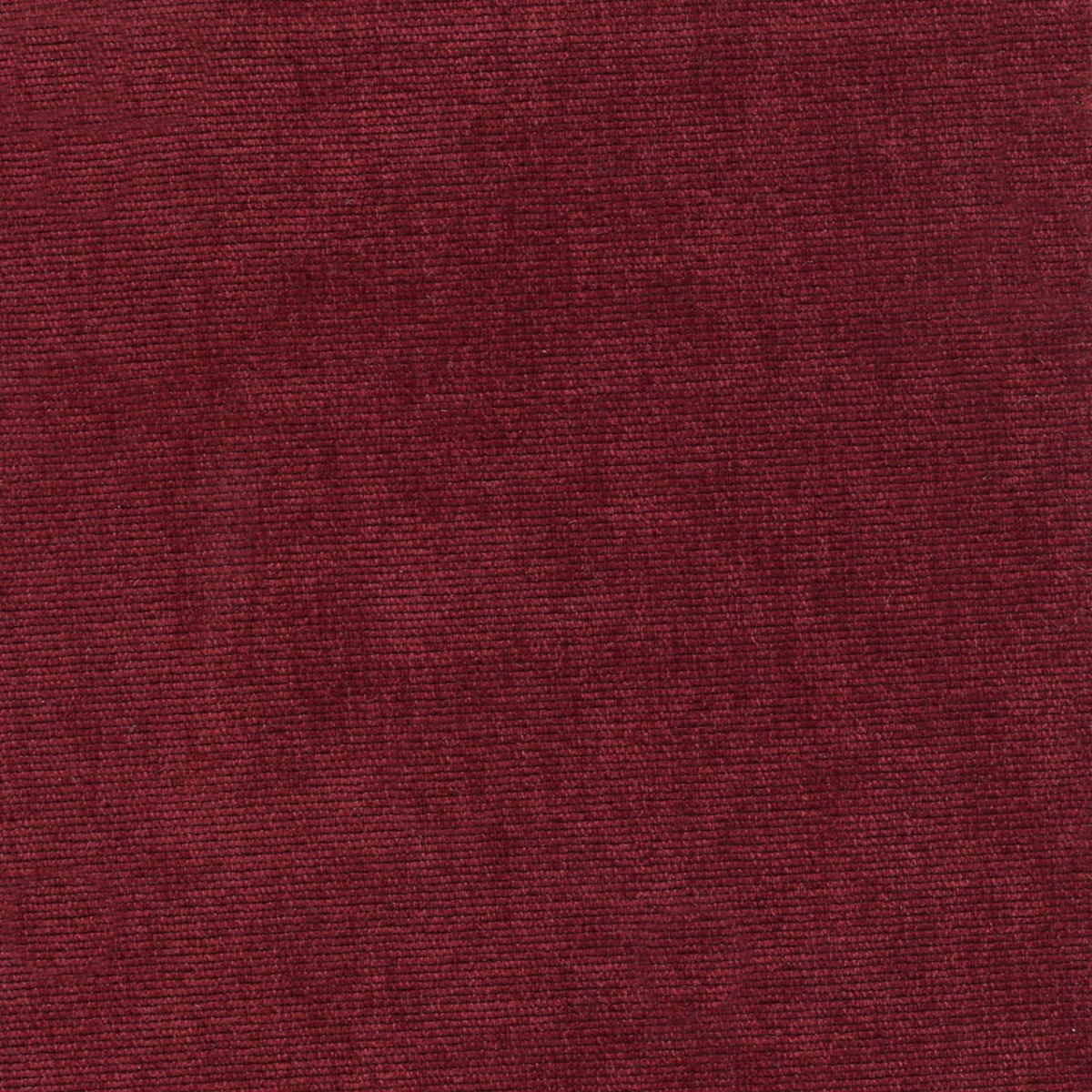 31637 CRANBERRY (DUNKIRK) WITH NANOTEX