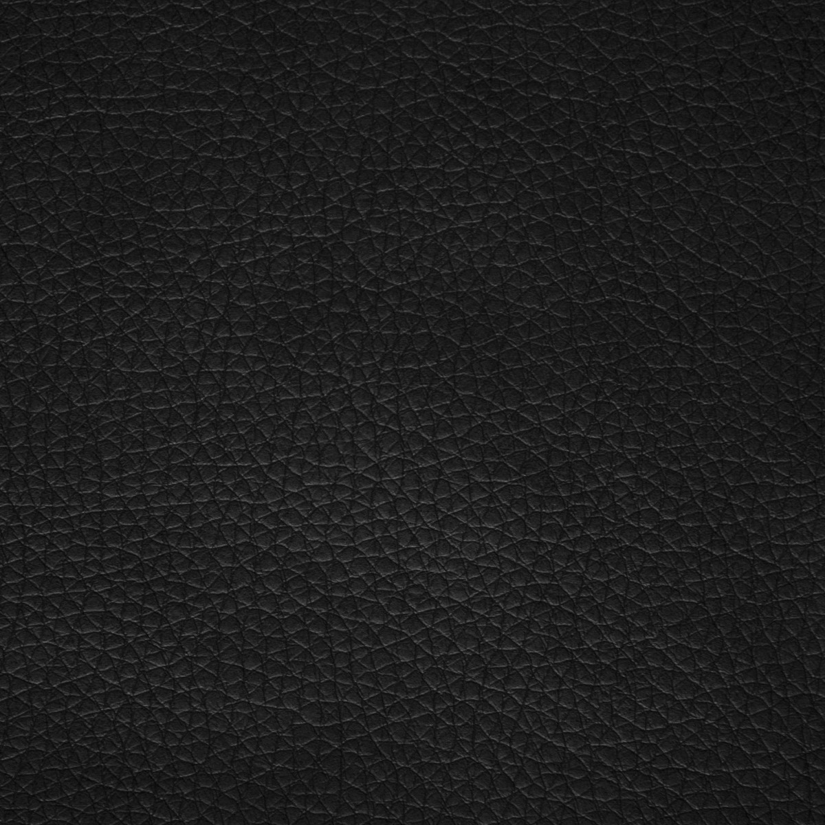 31801 BLACK (PECOS)